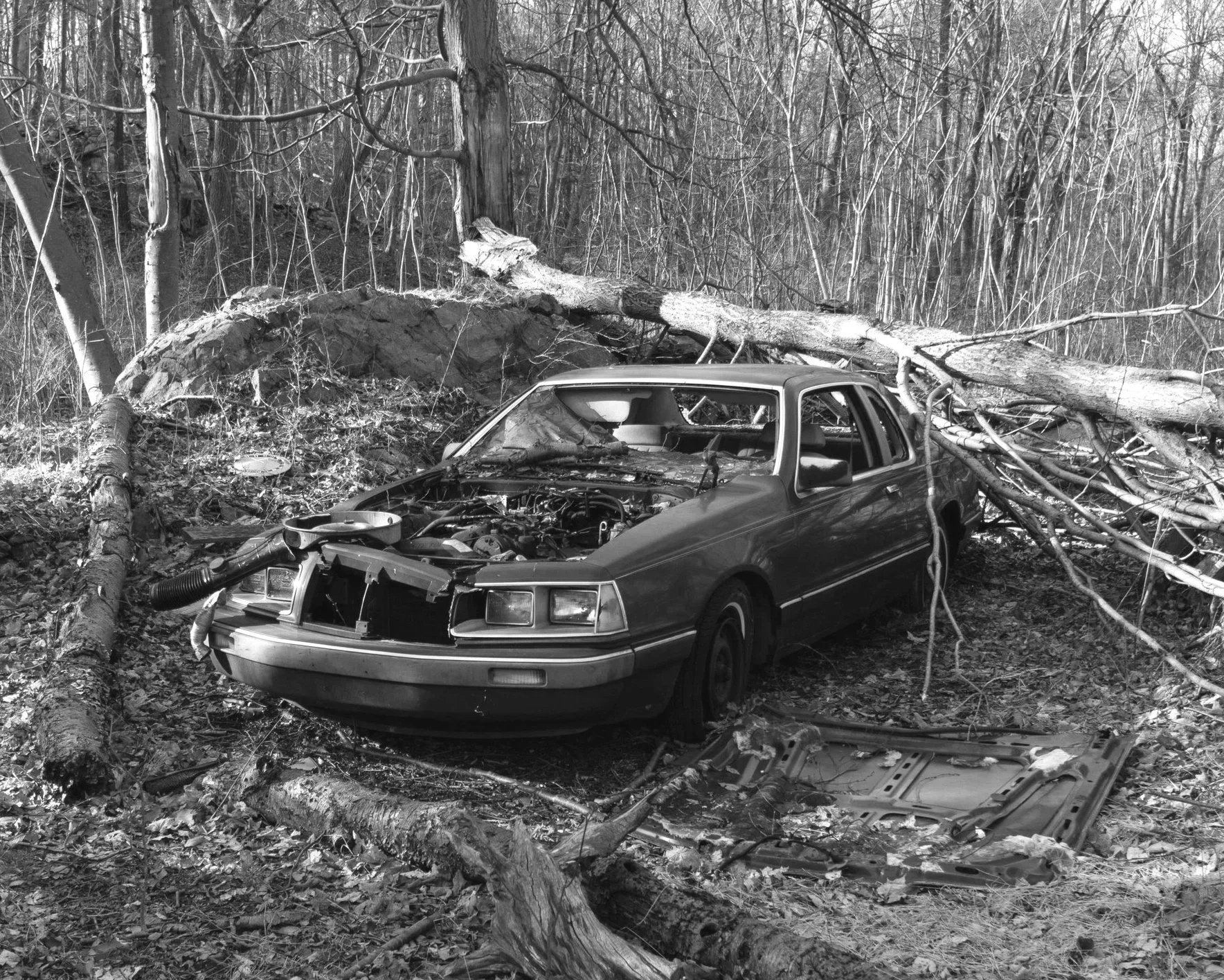 Forgotten Car