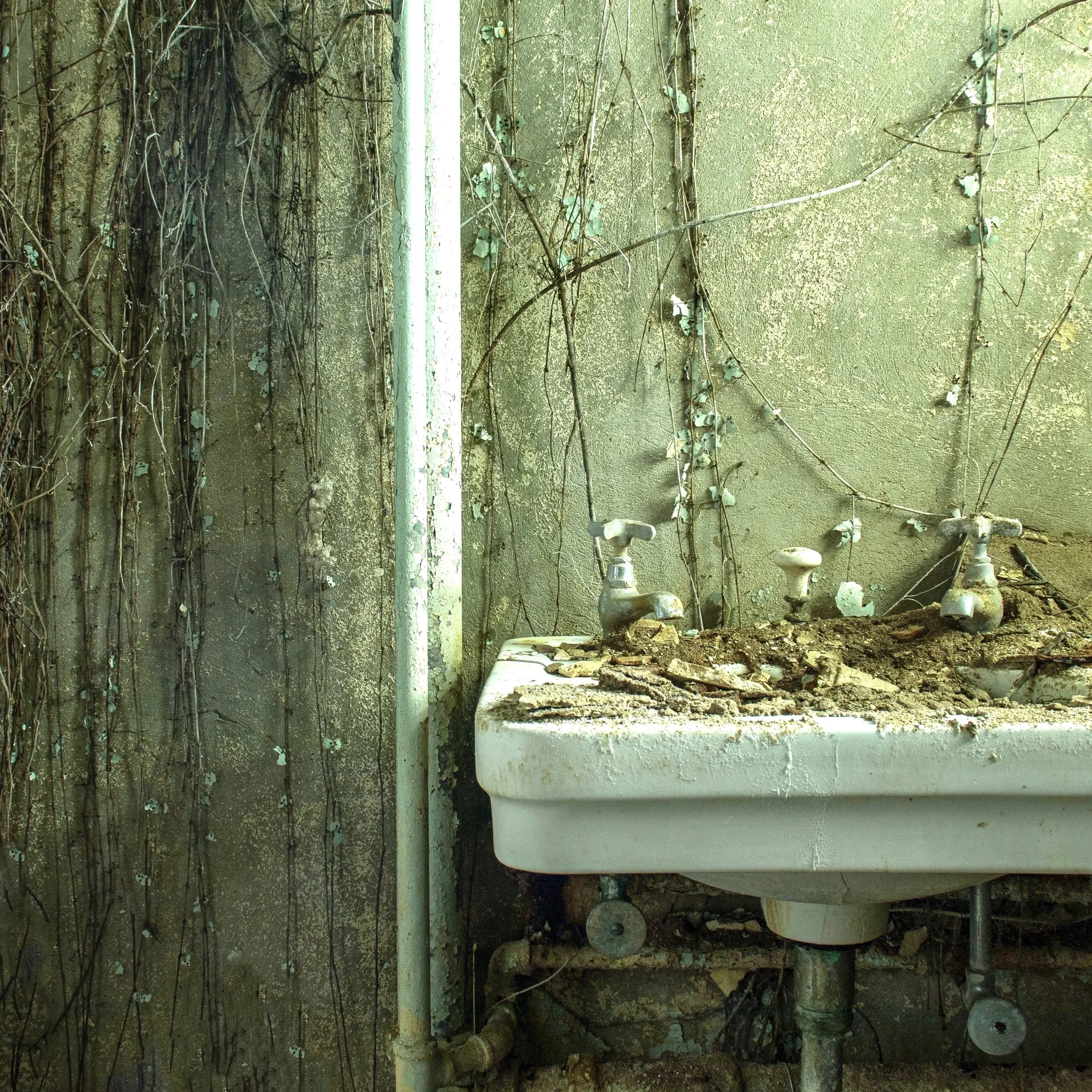 Overgrown Sink. State Hospital