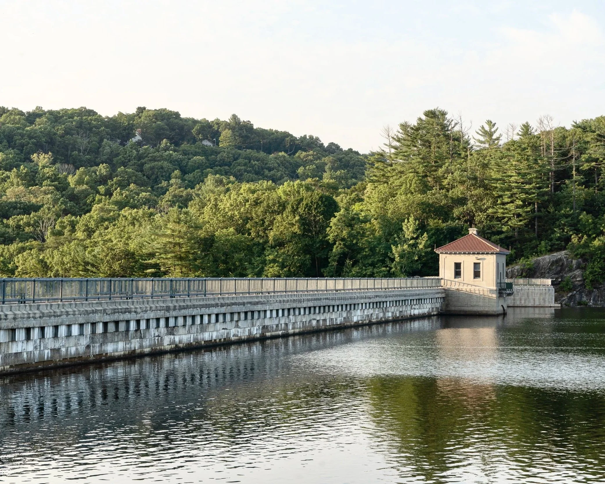 The Local Dam