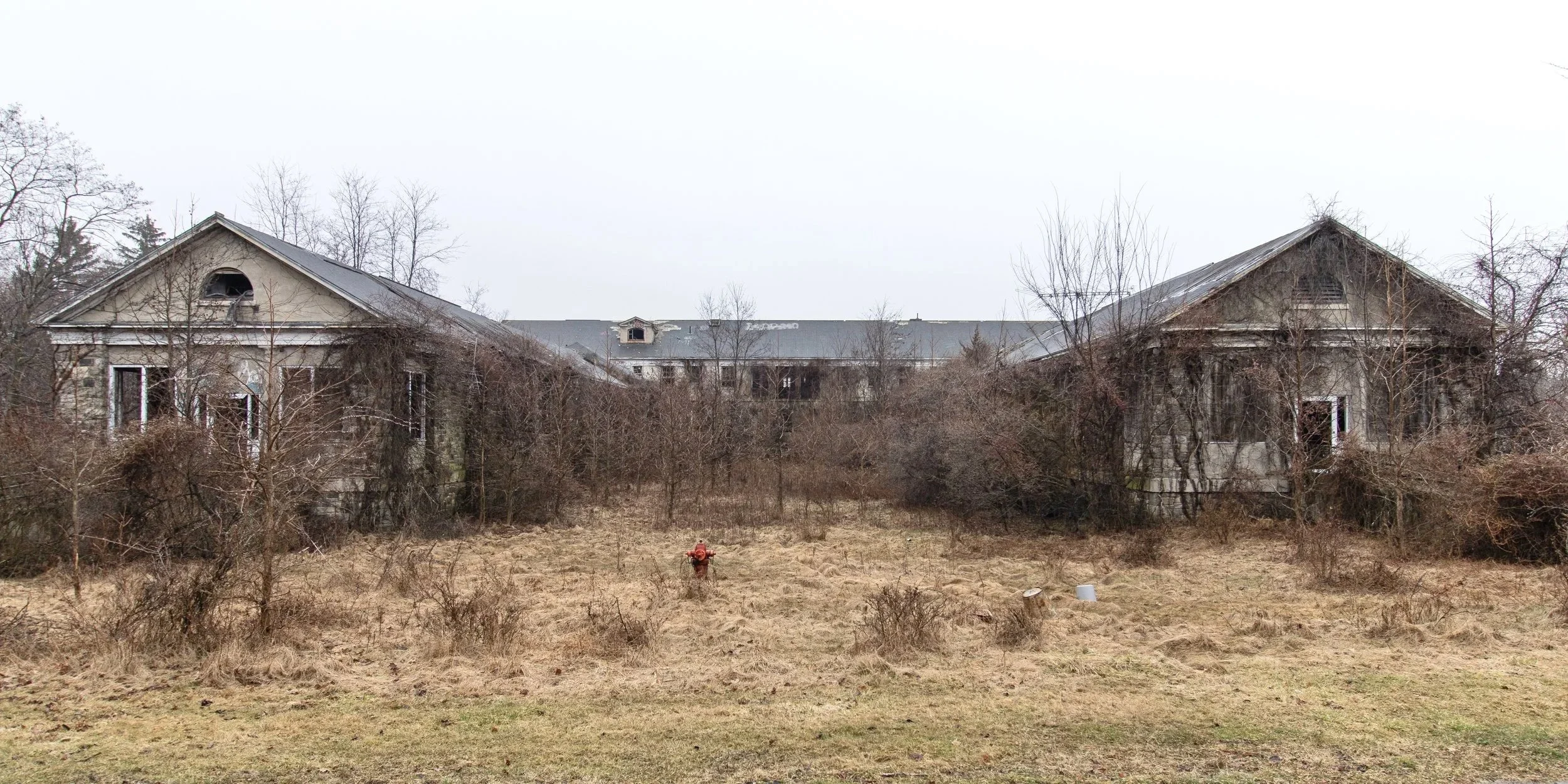 Medical Building 