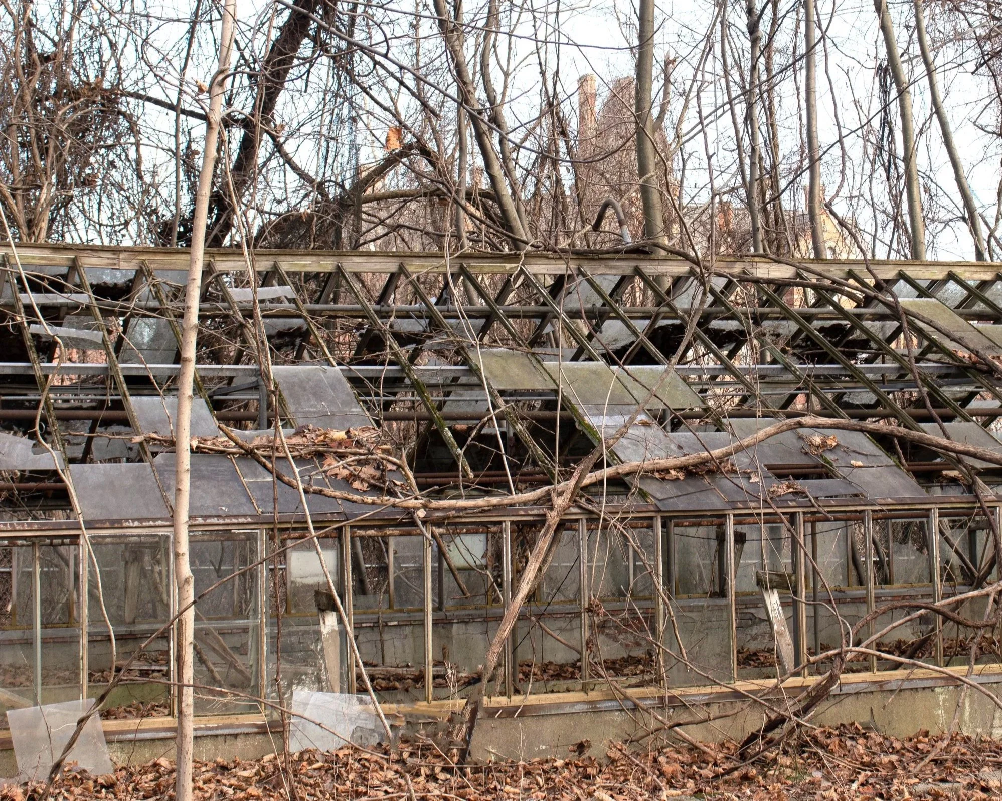 Greenhouse (building 57)