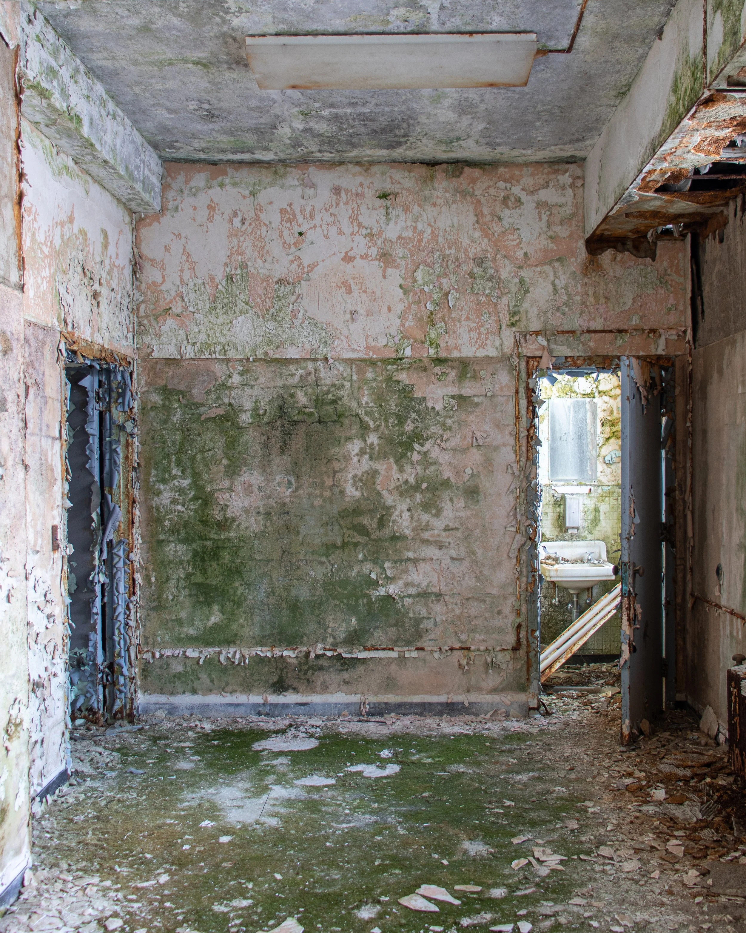 Green Decay, Tuckerman Hall (building 119)
