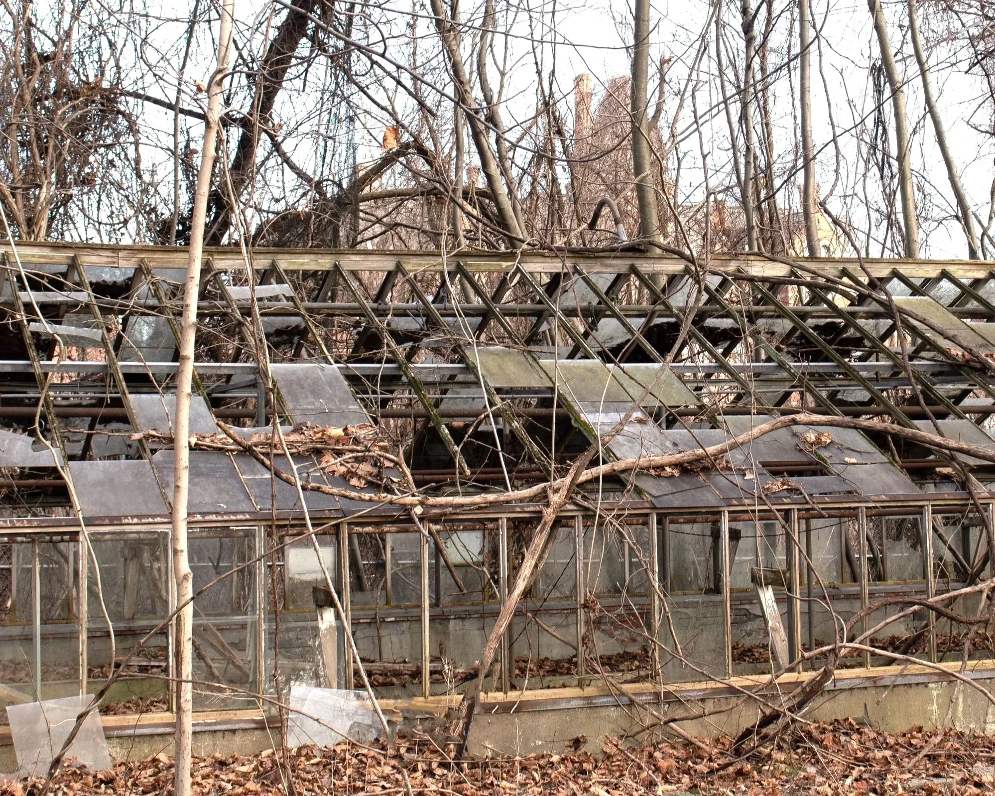 Greenhouse (bldg 57)