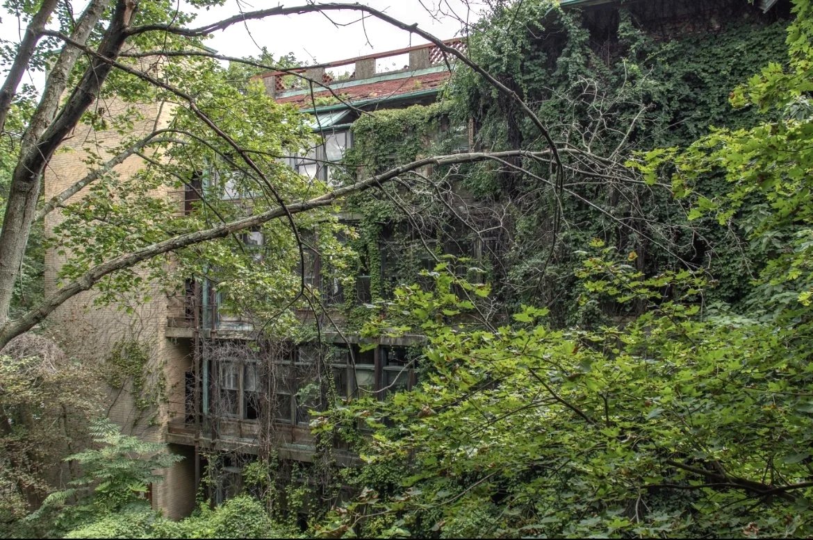 Overgrowth, Woman's Pavilions