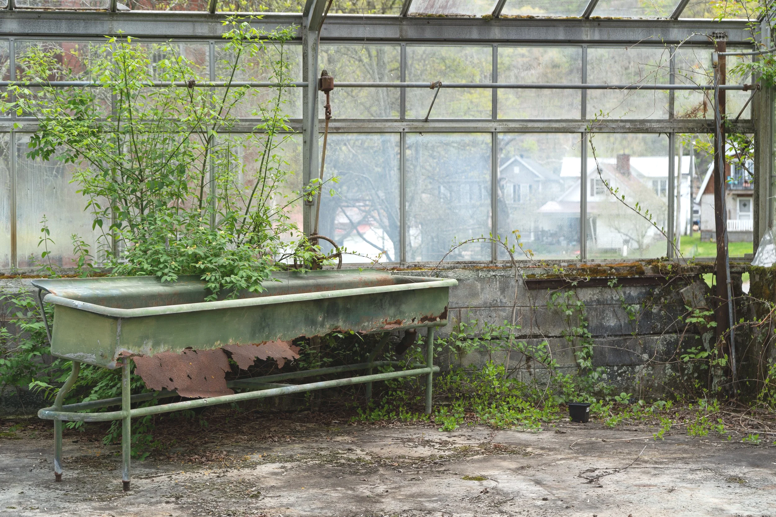 Greenhouse