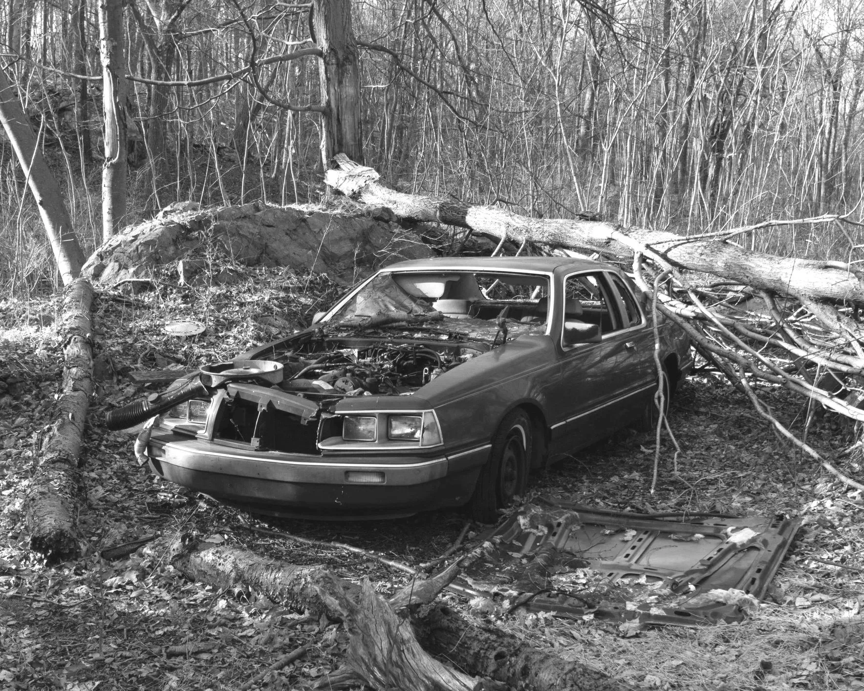 Forgotten Car