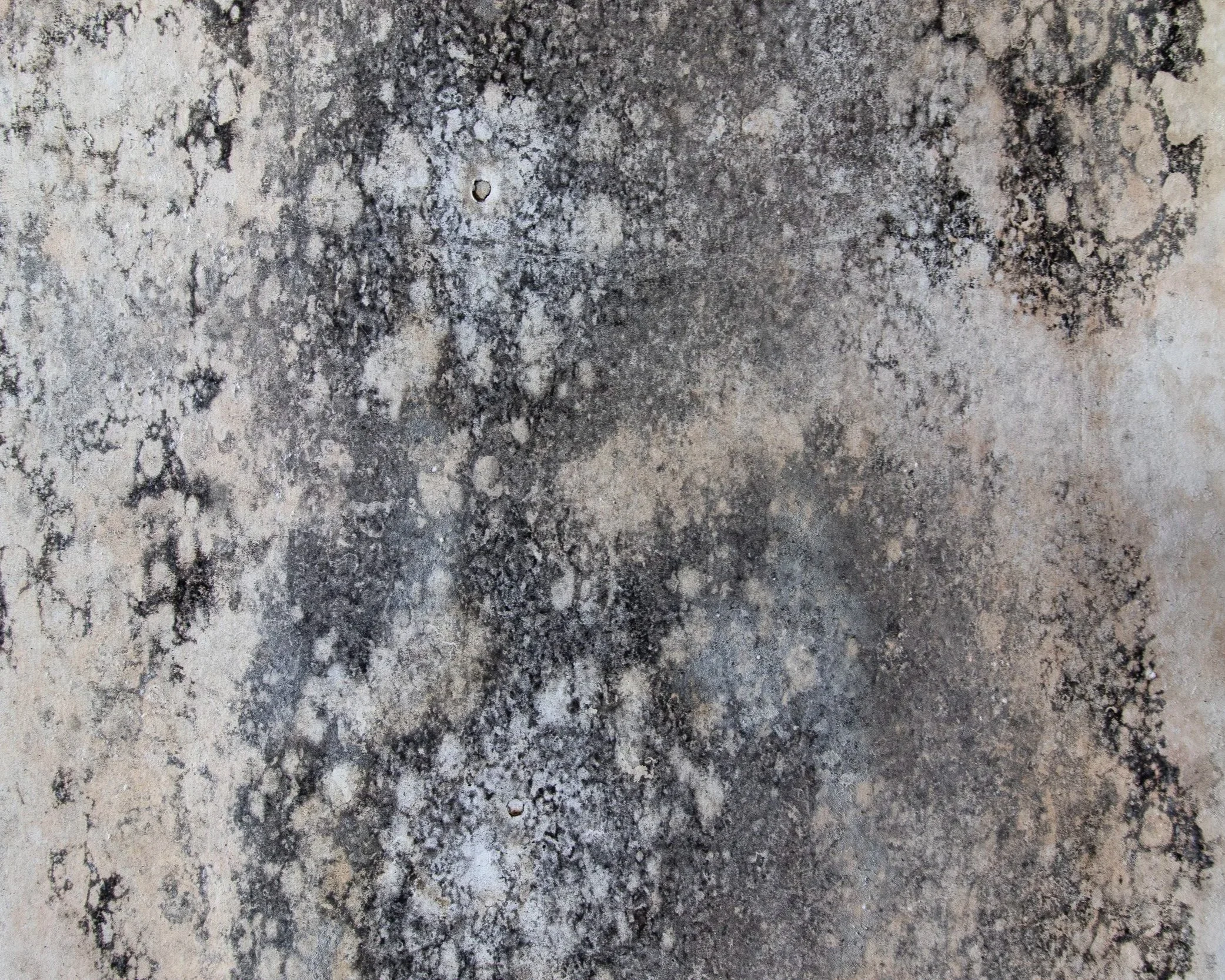 Mold
