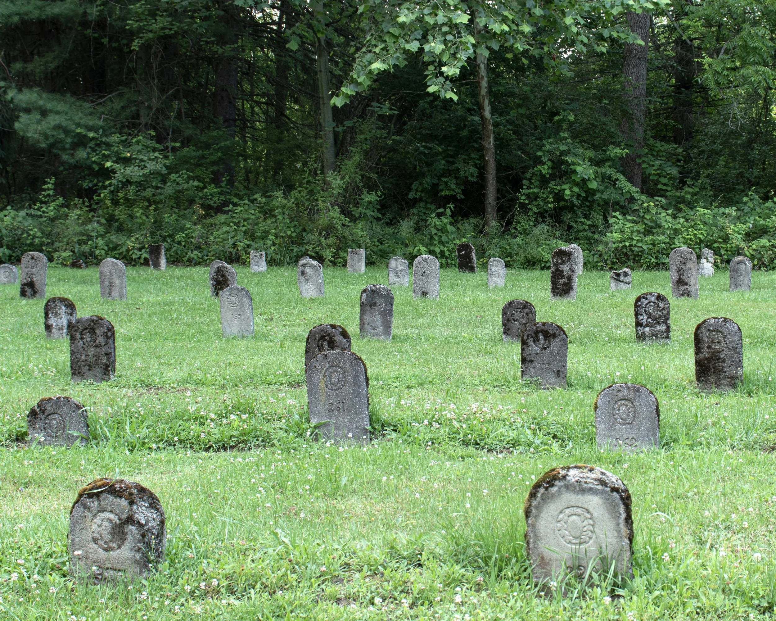 Patient Cemetery, State Hospital, NY