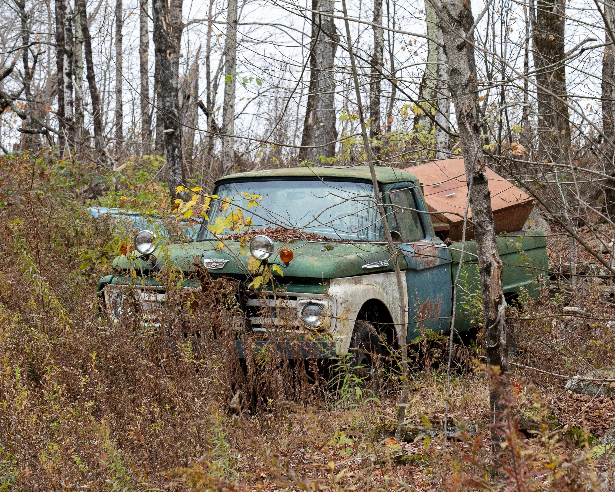 Abandoned Pickup Truck, Roscoe