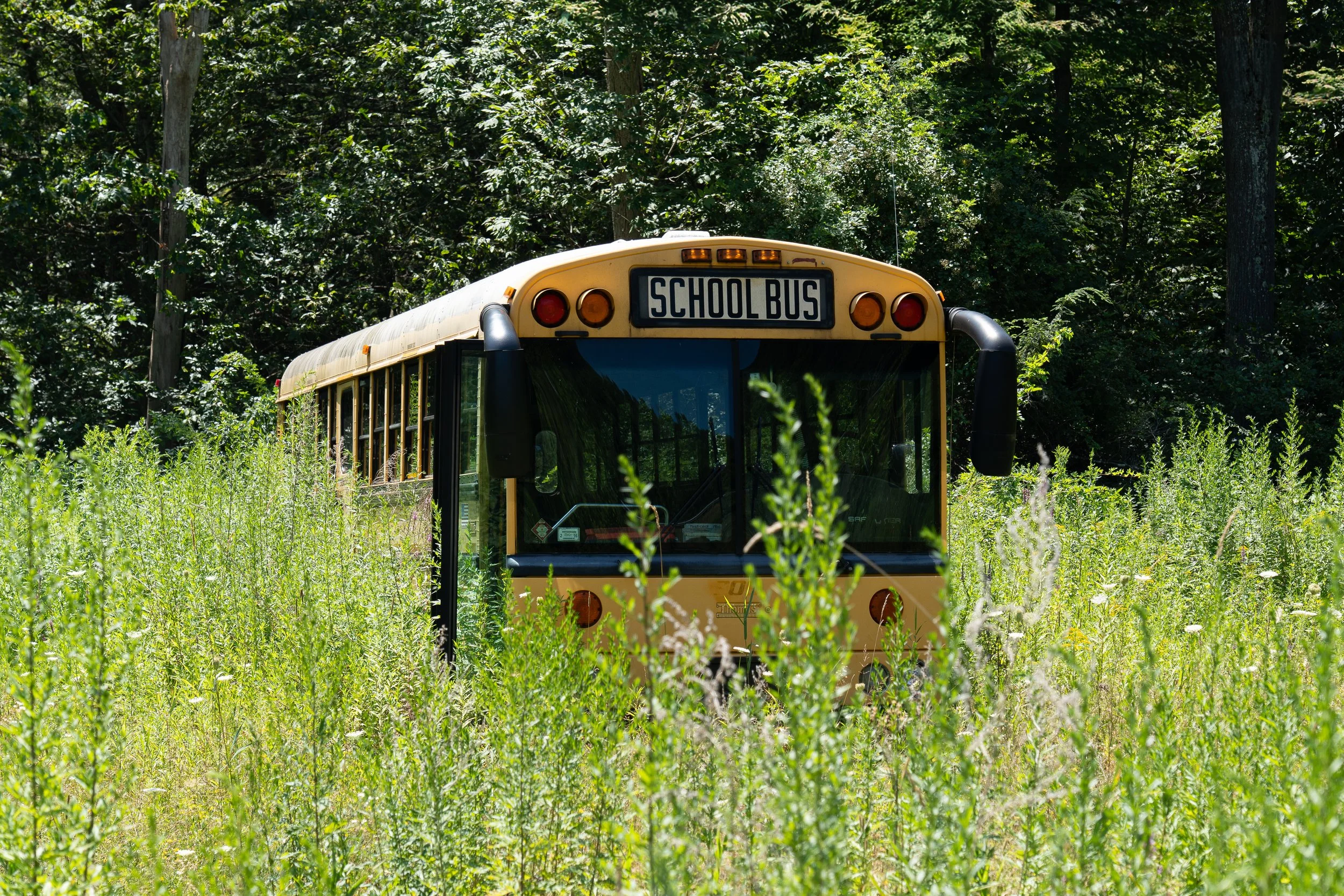 Abandoned School Bus, NY