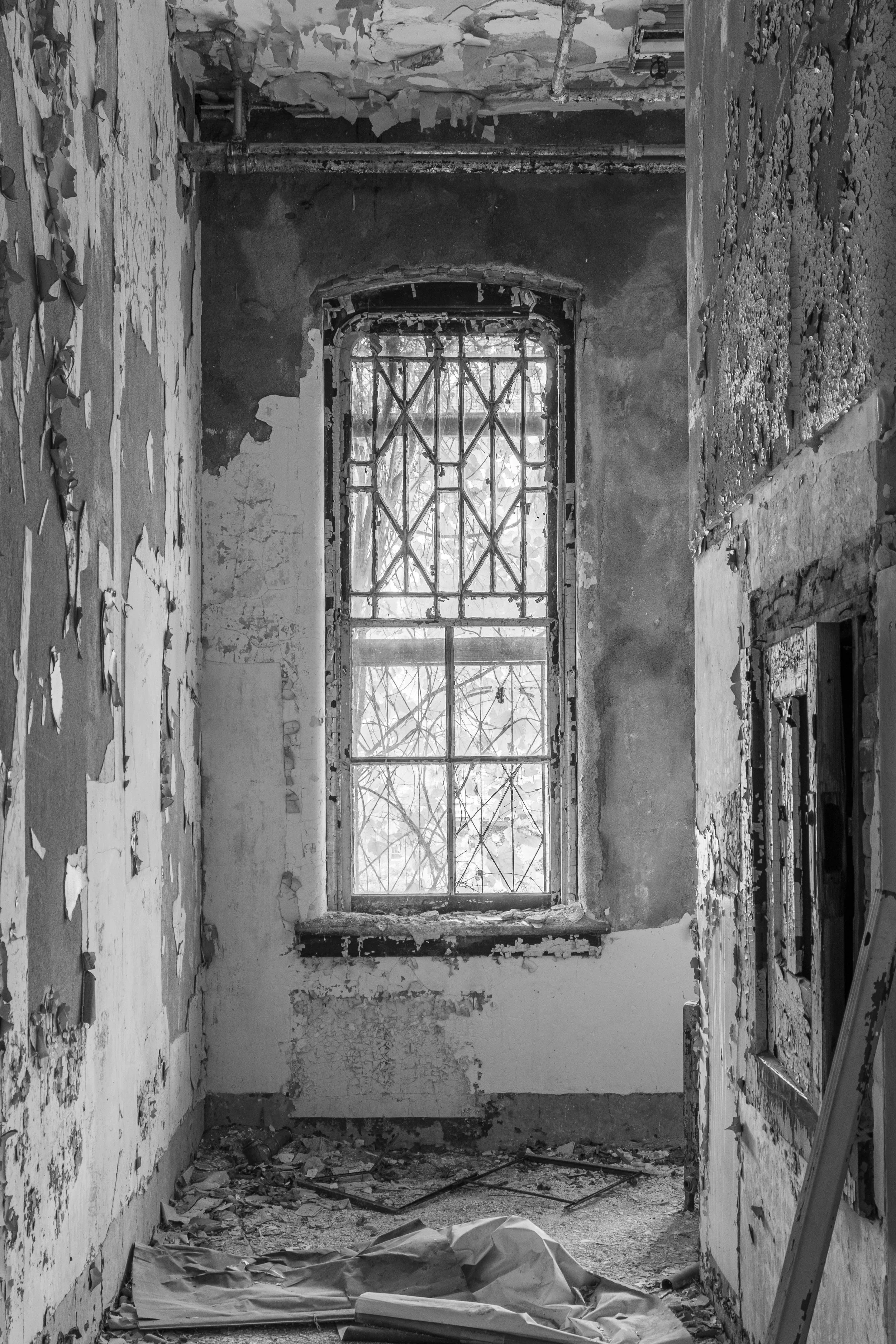 Male Wing Window in b&w