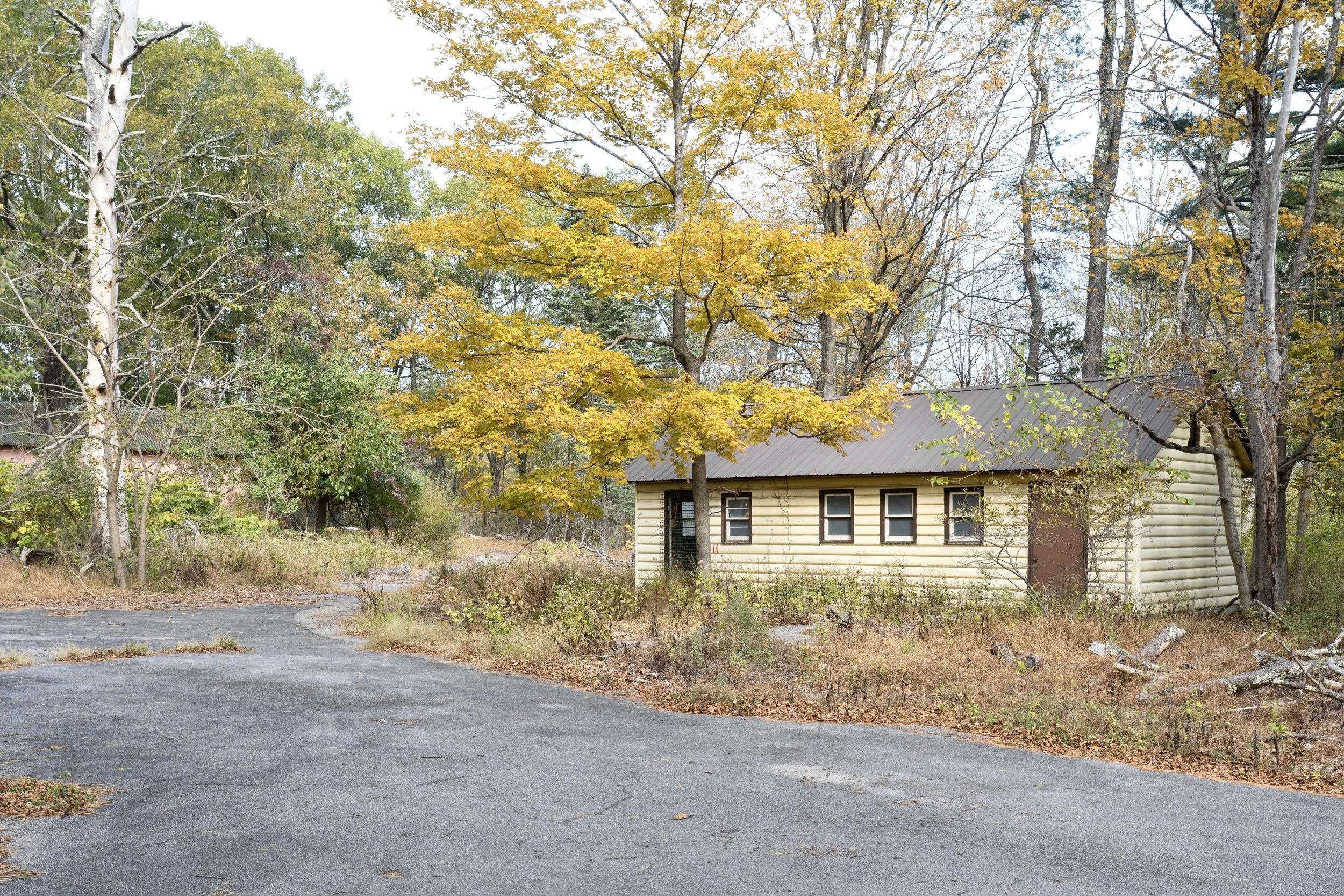 Fall Colors at the Game Farm