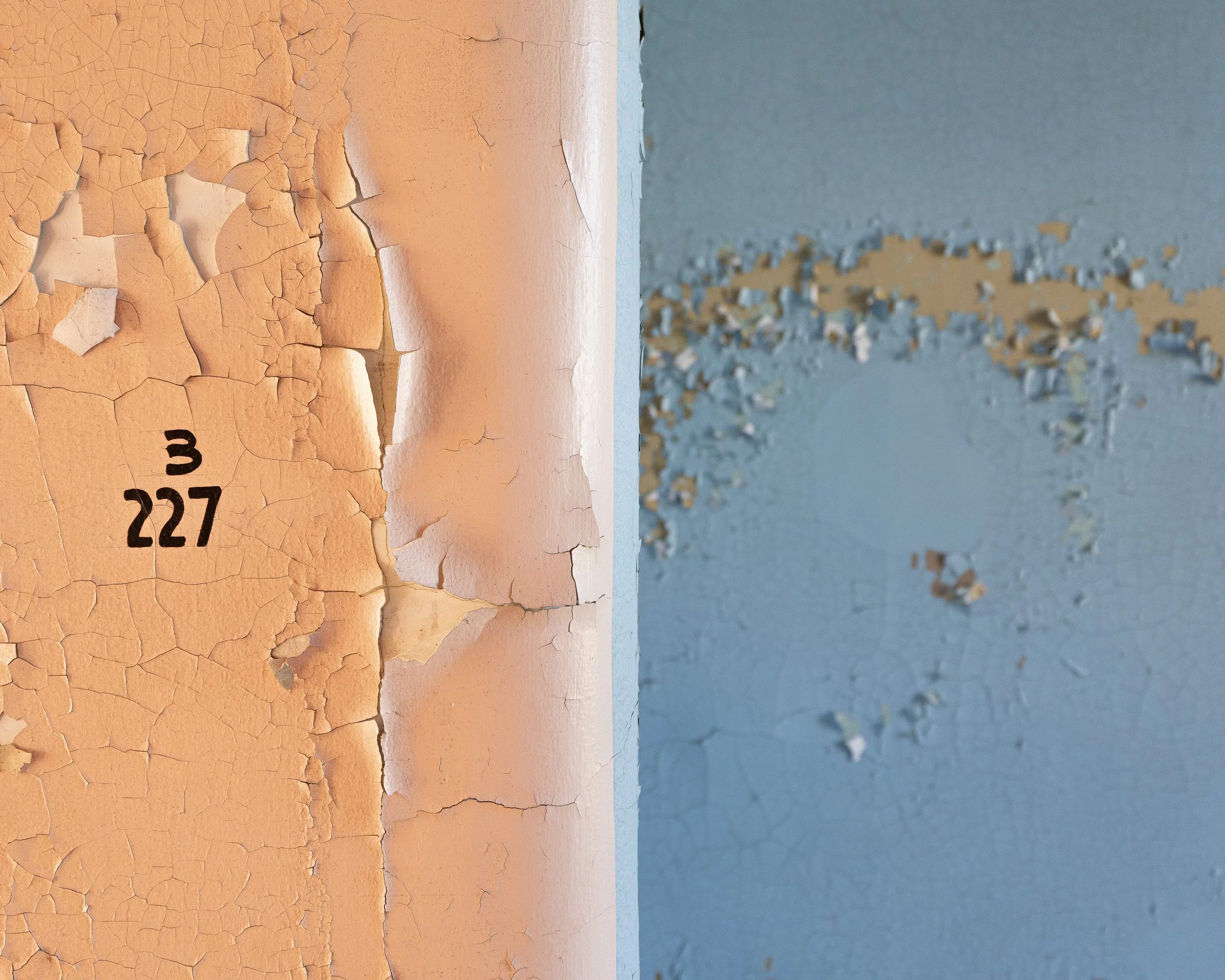 Details Worth Noticing, State Hospital