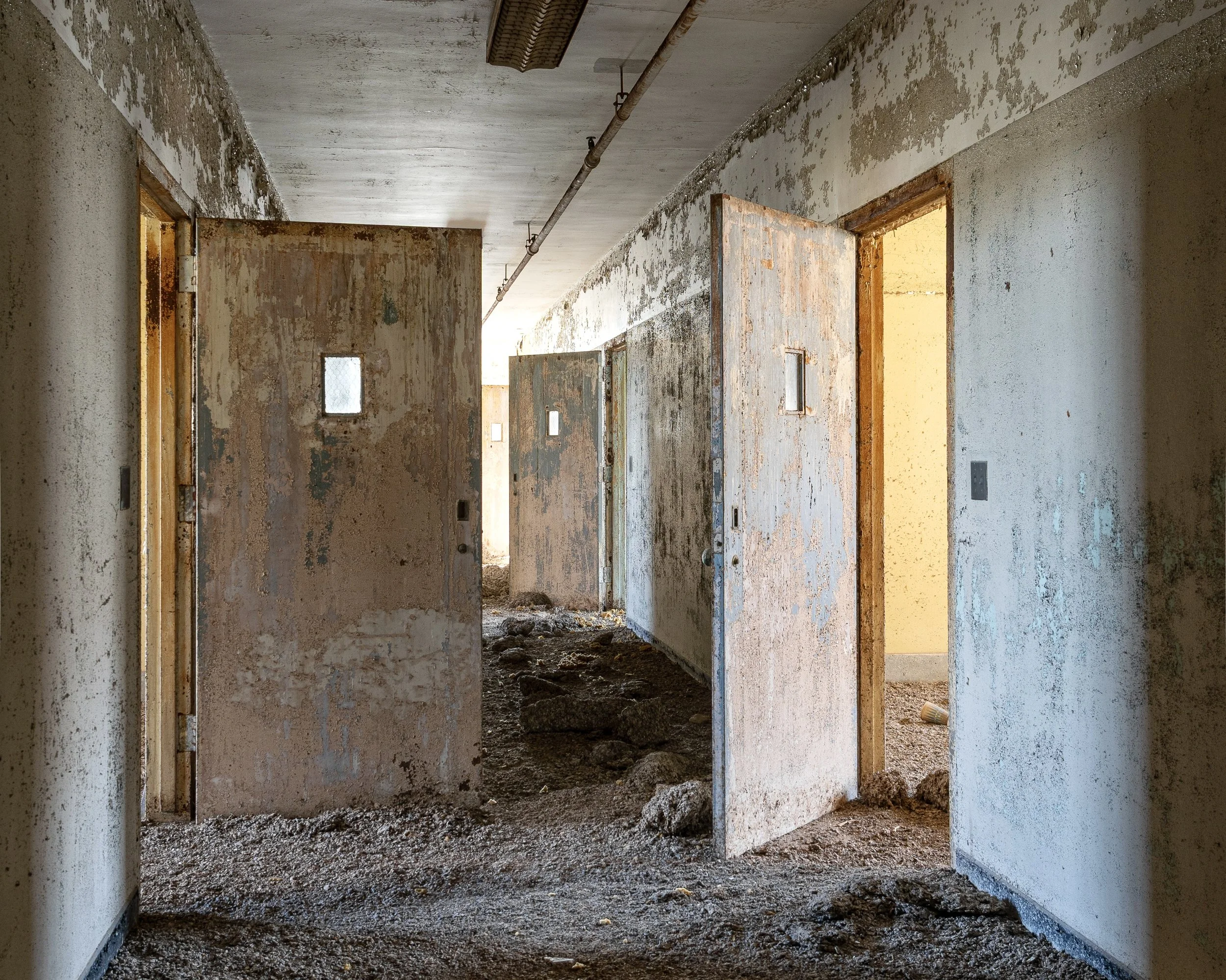 Pigeon Poop Patient Ward, Building 25