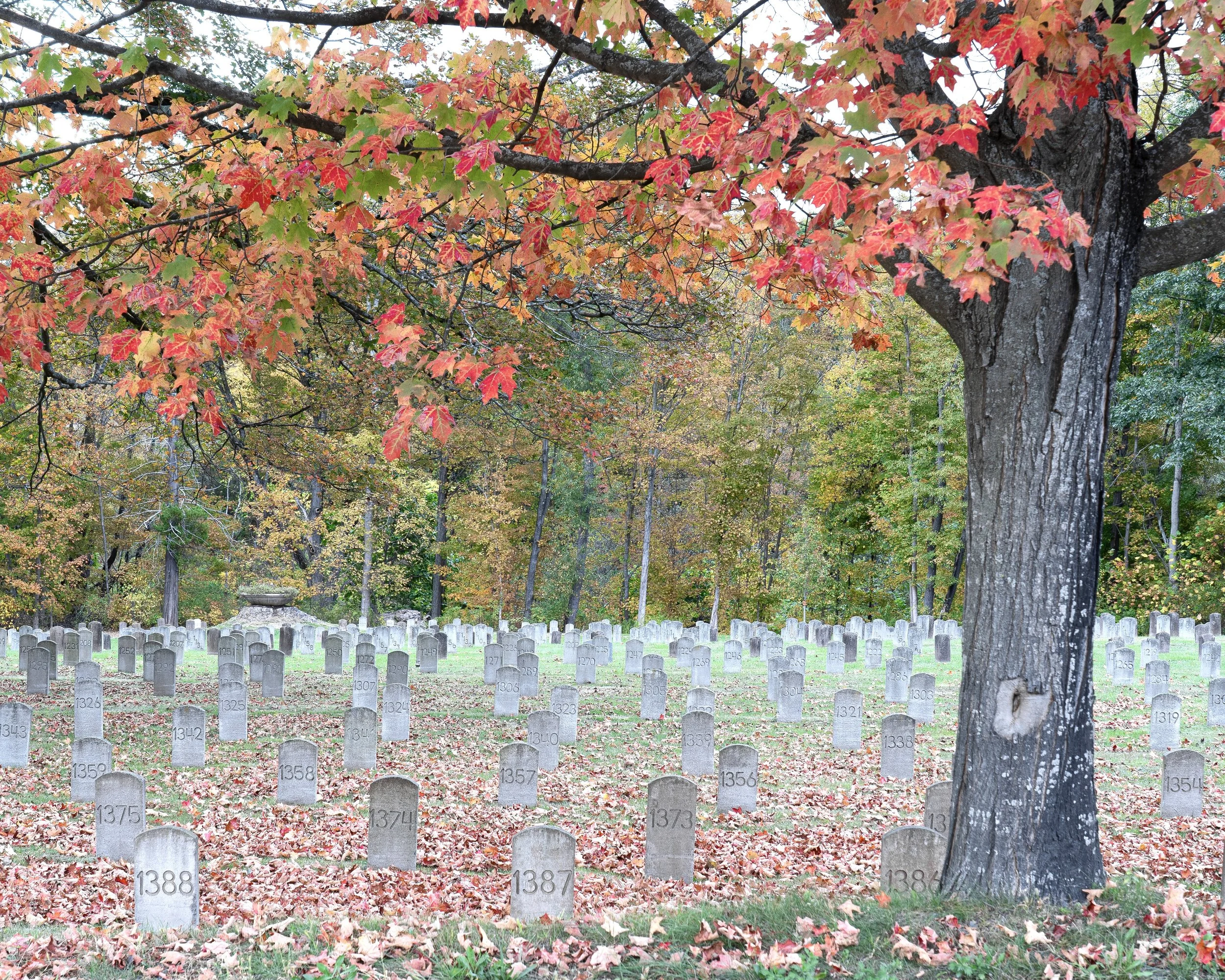 Patient Cemetery, State Hospital, CT