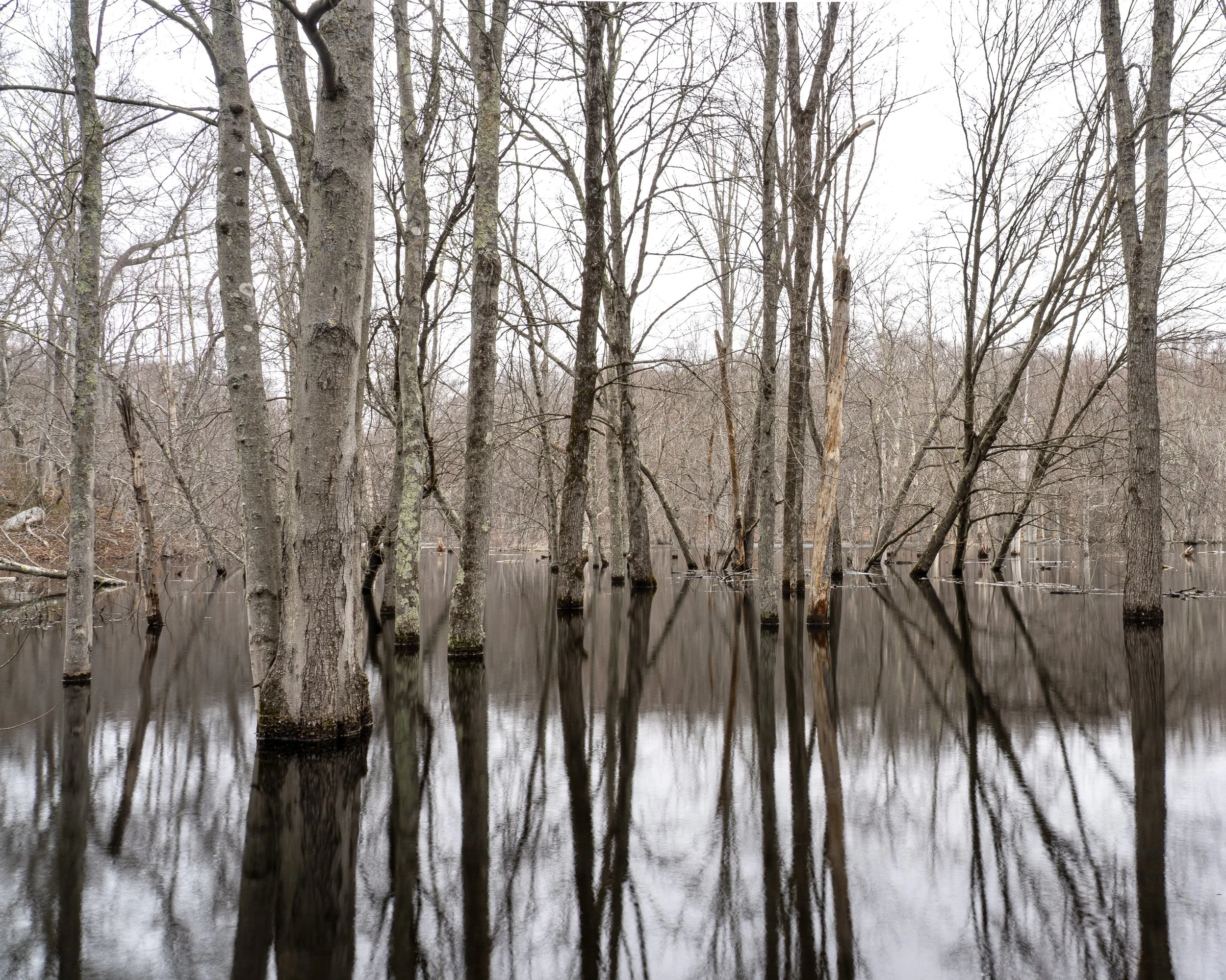 Flooded