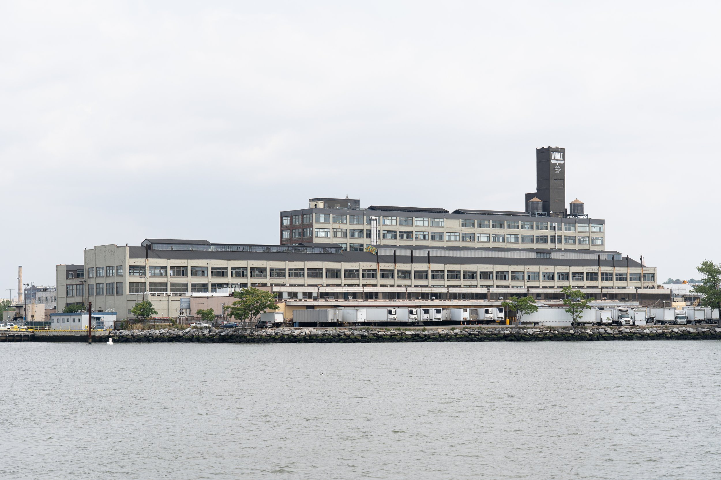 Whale Oil Company, Brooklyn NY