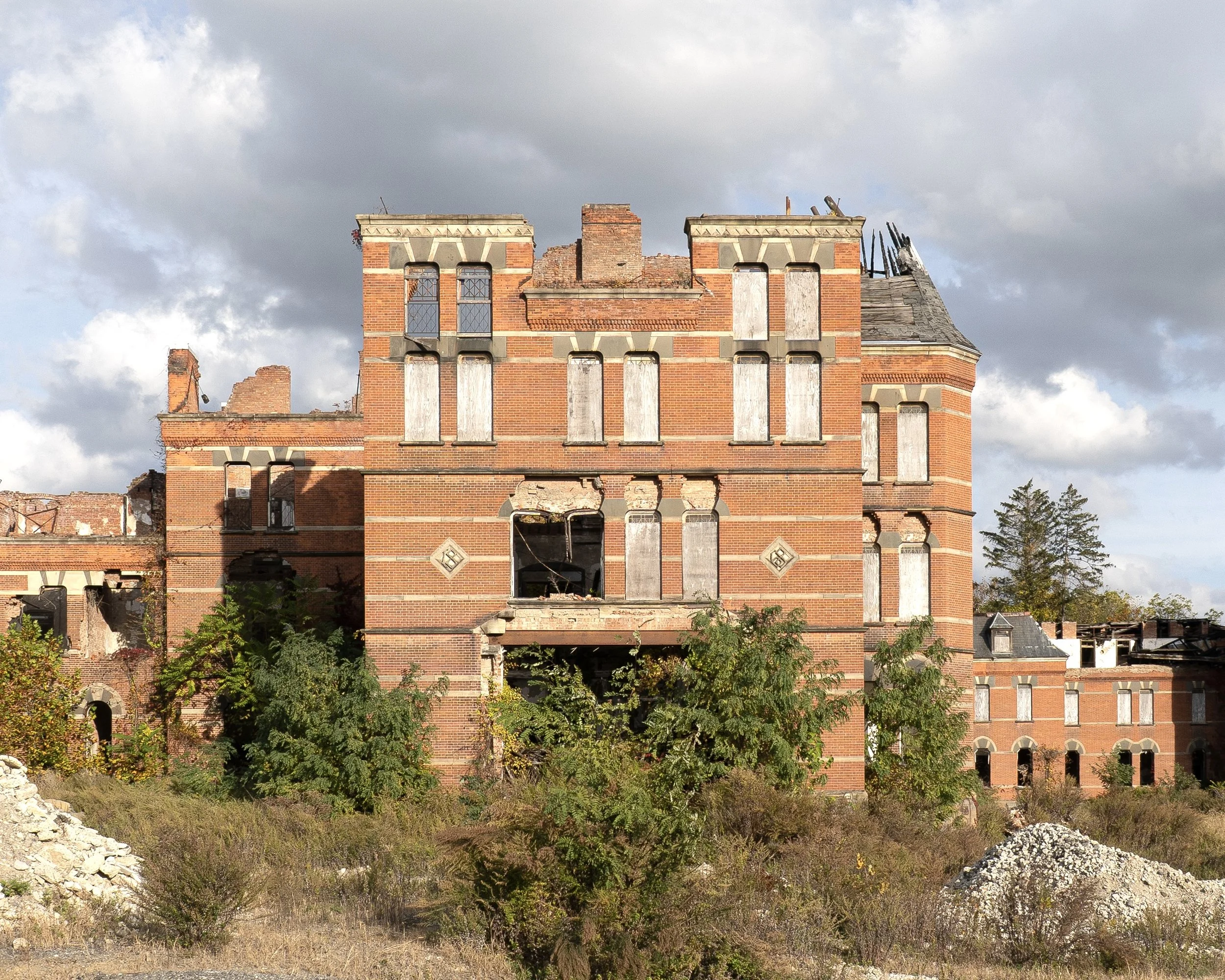 Male Wing 1868 Markings