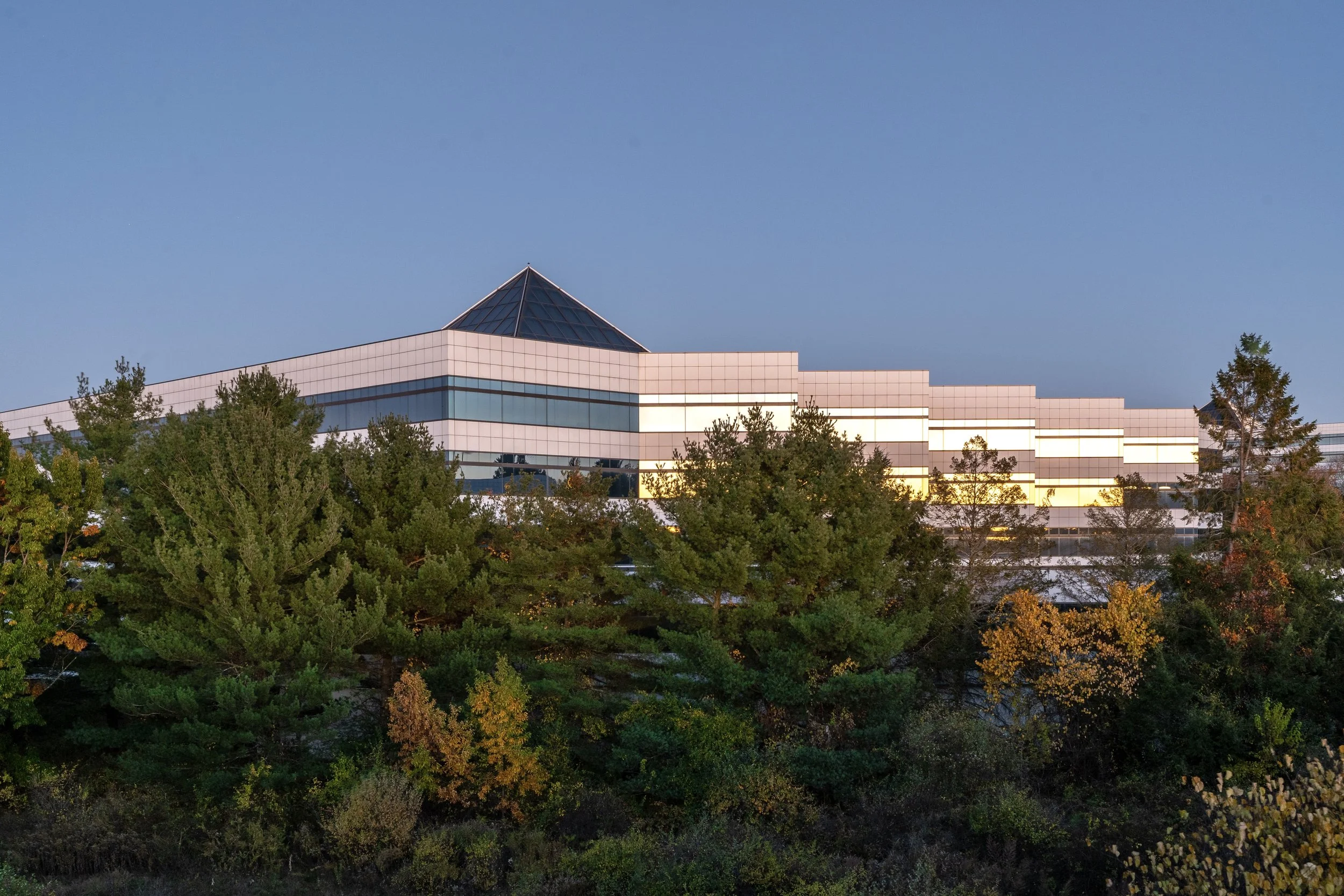 Nature Covered Office Pod