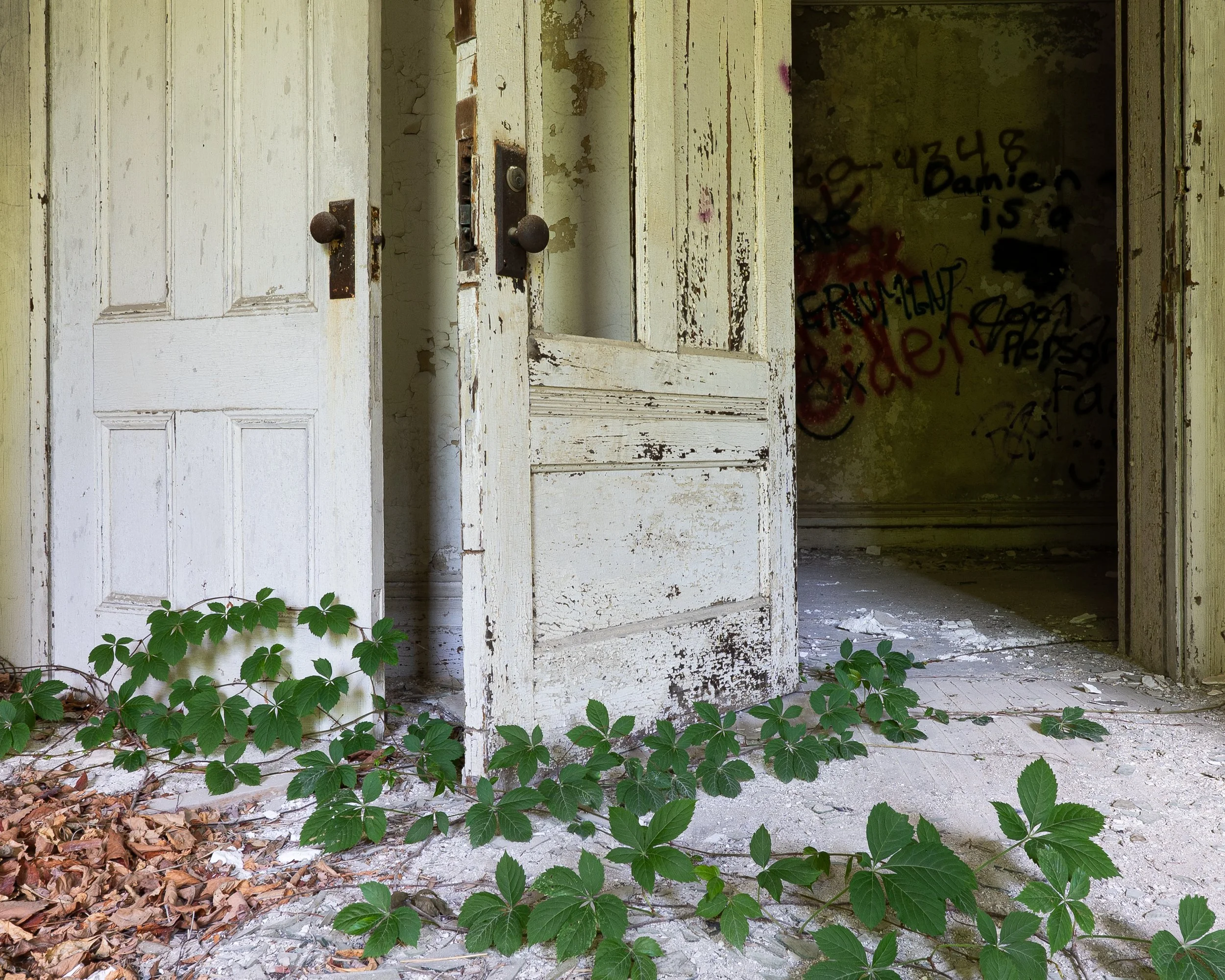 Nature's dorm