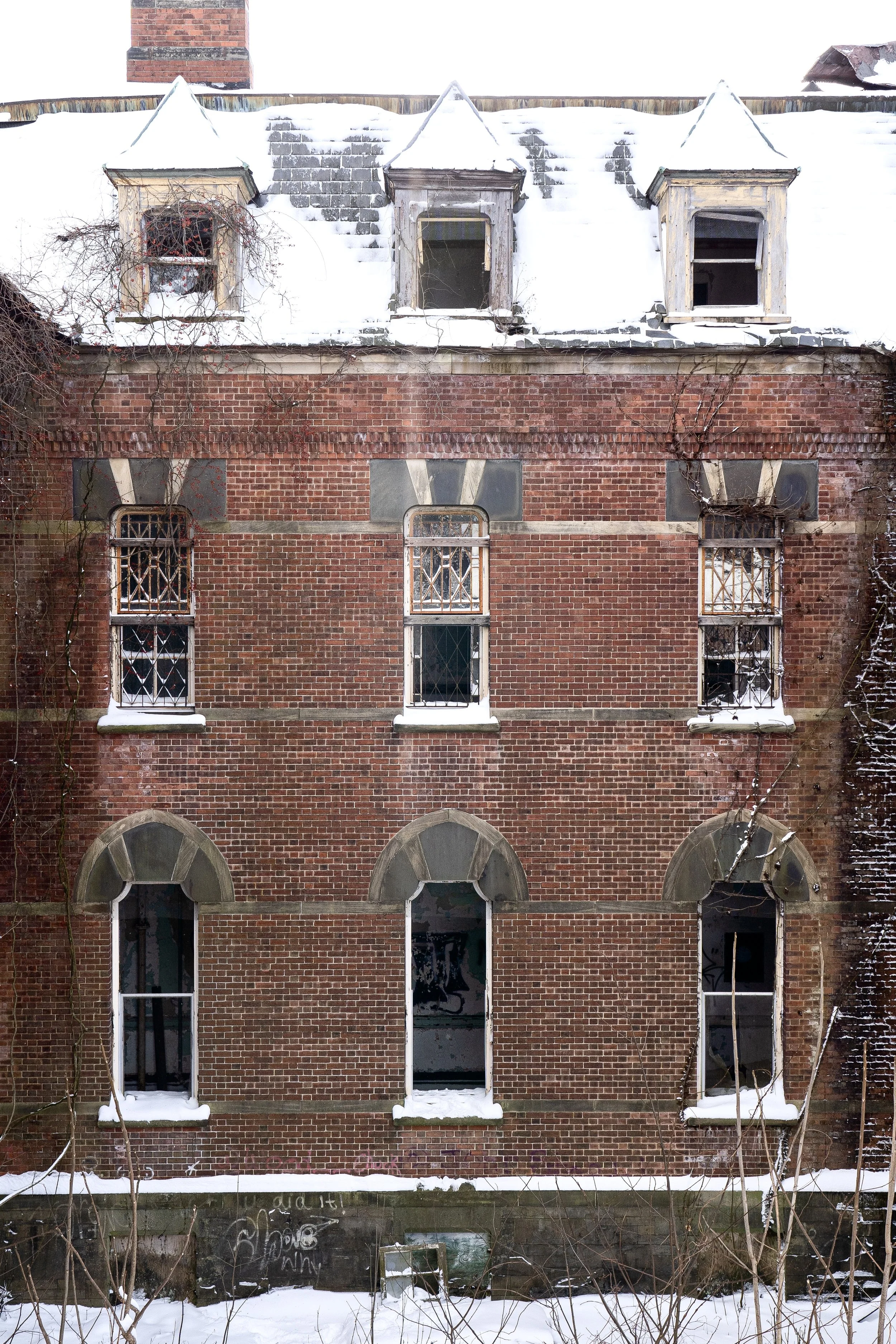 Male Wing in the Snow