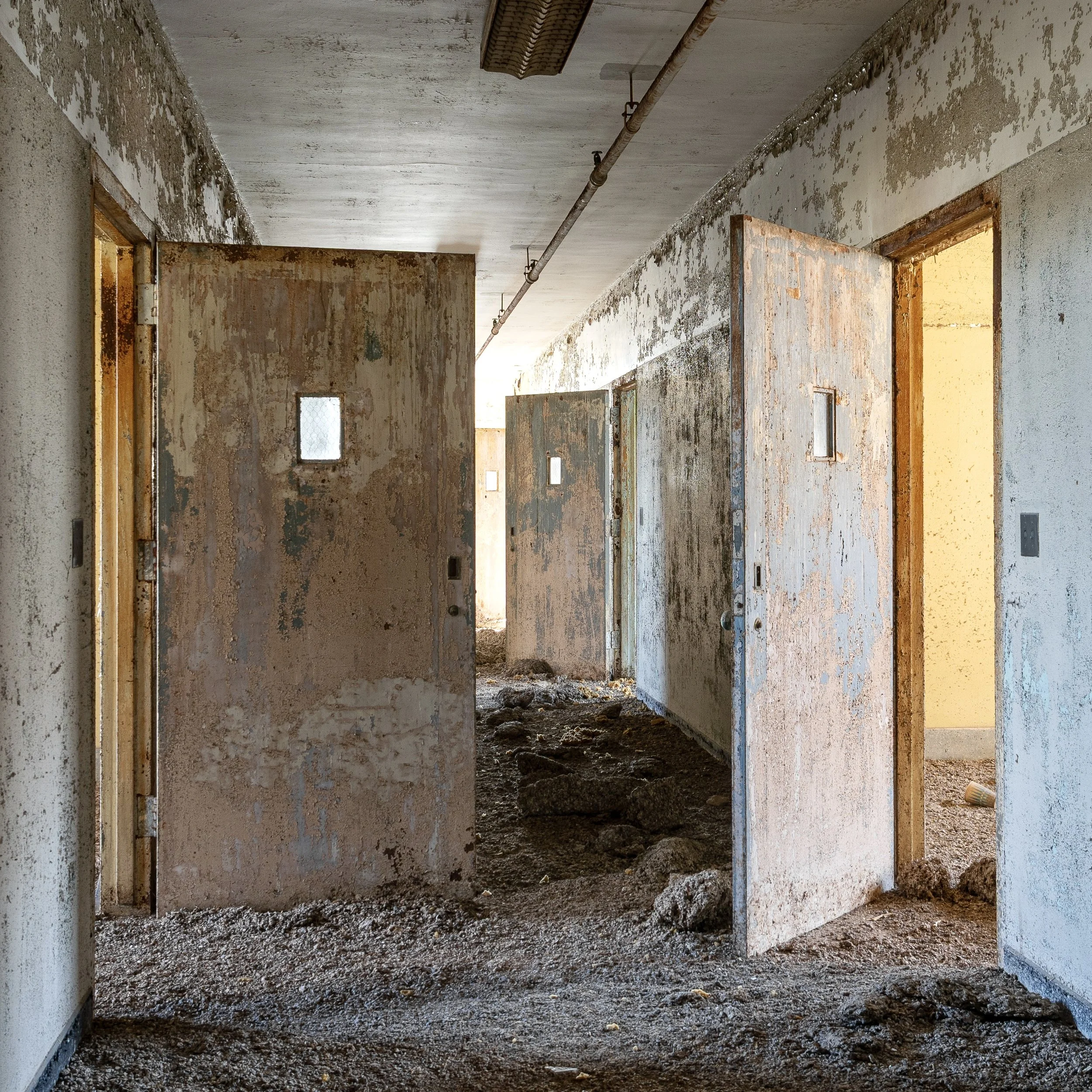 Pigeon Poop Patient Ward, Creedmoor State Hospital, Queens, NY