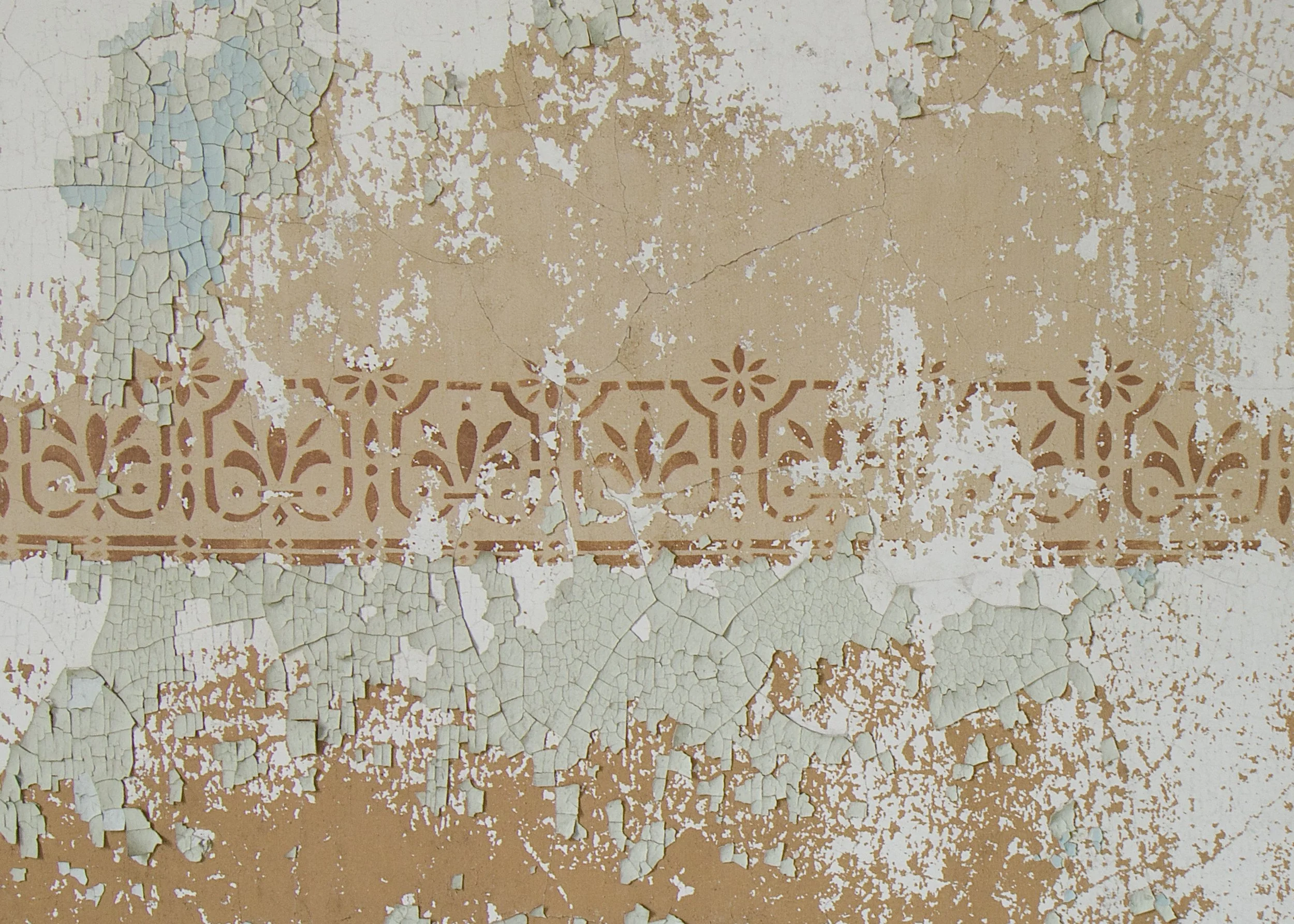 Male Wing Stenciling 