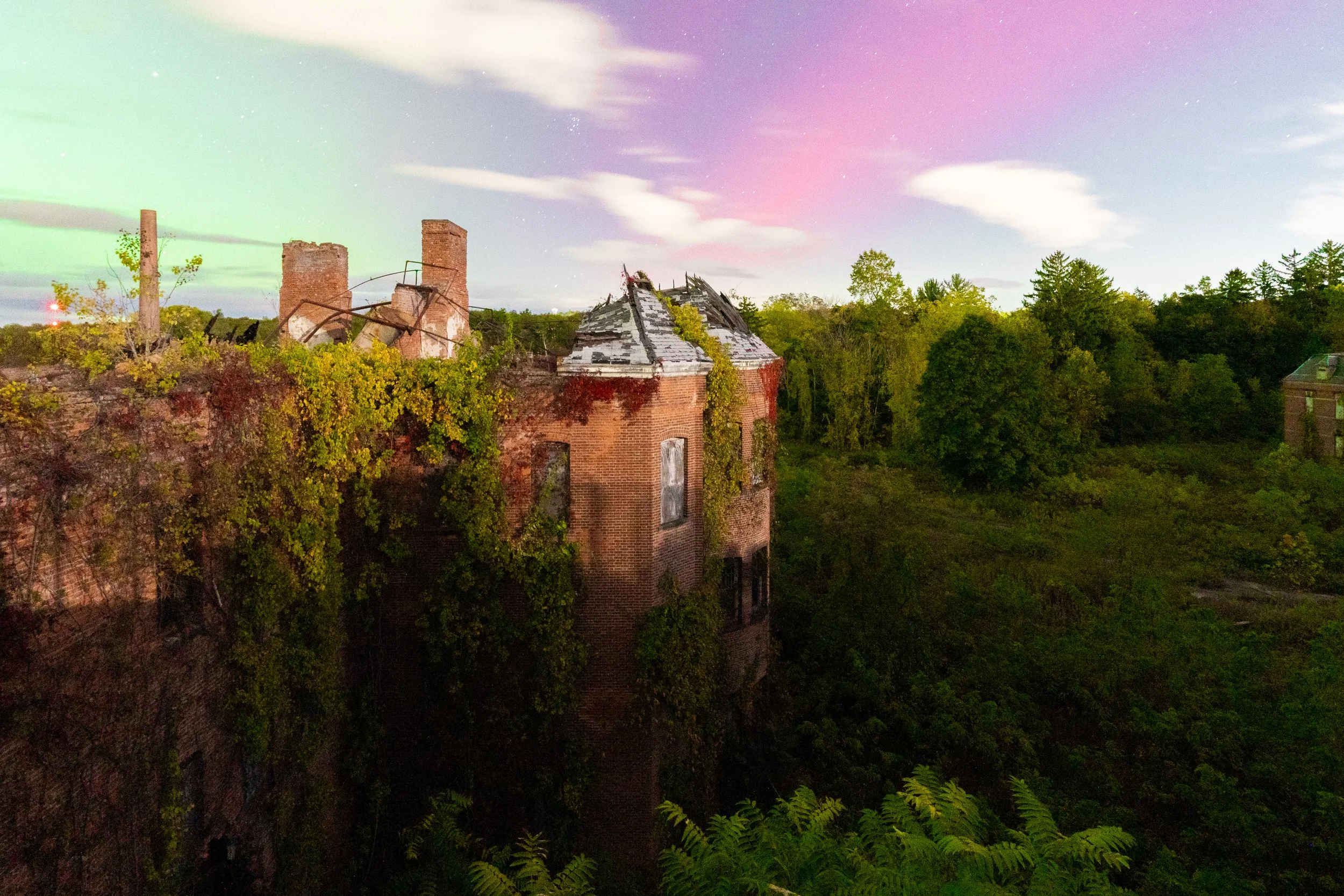 Male Wing Under the Aurora