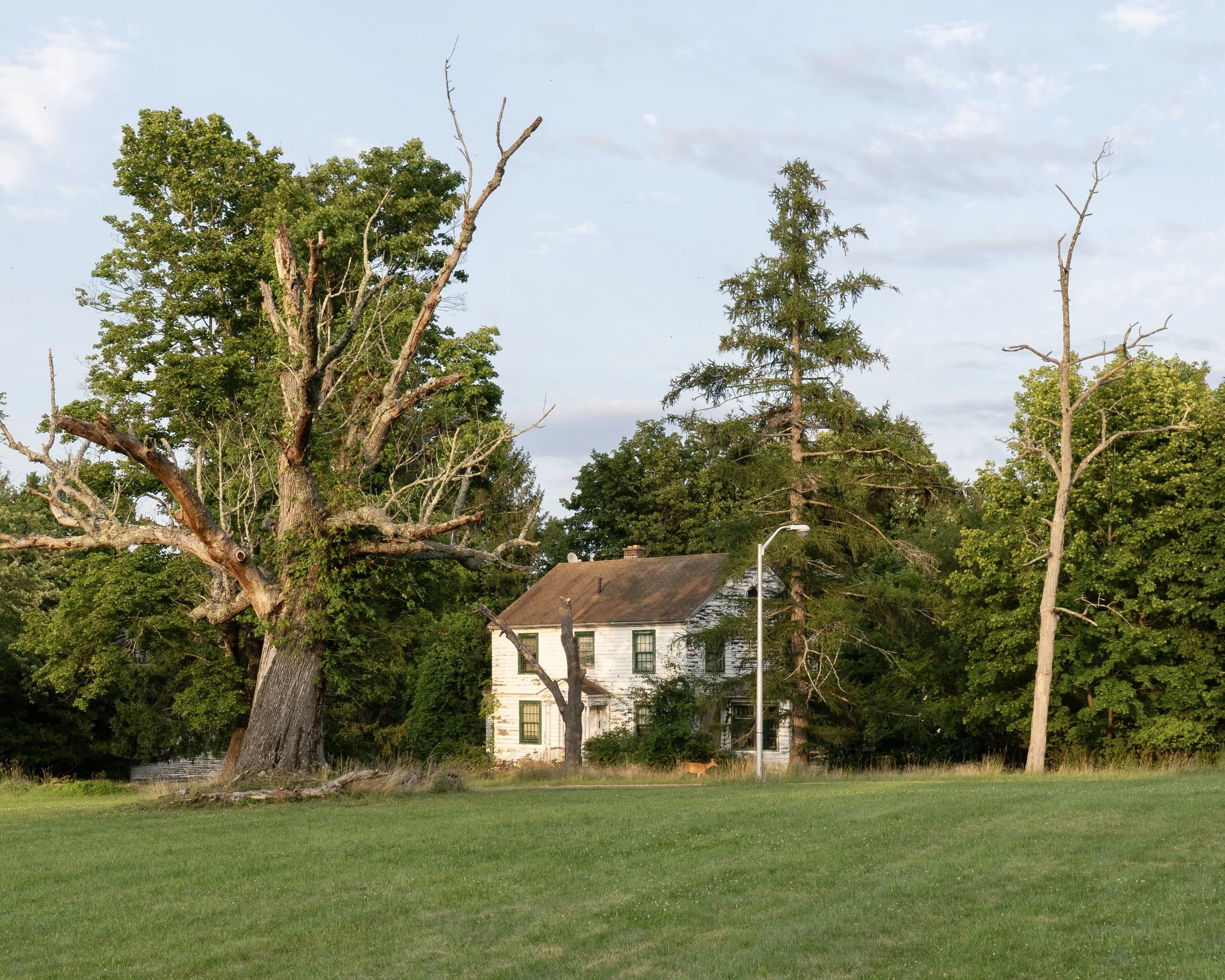 Trees & Staff House (building 19)