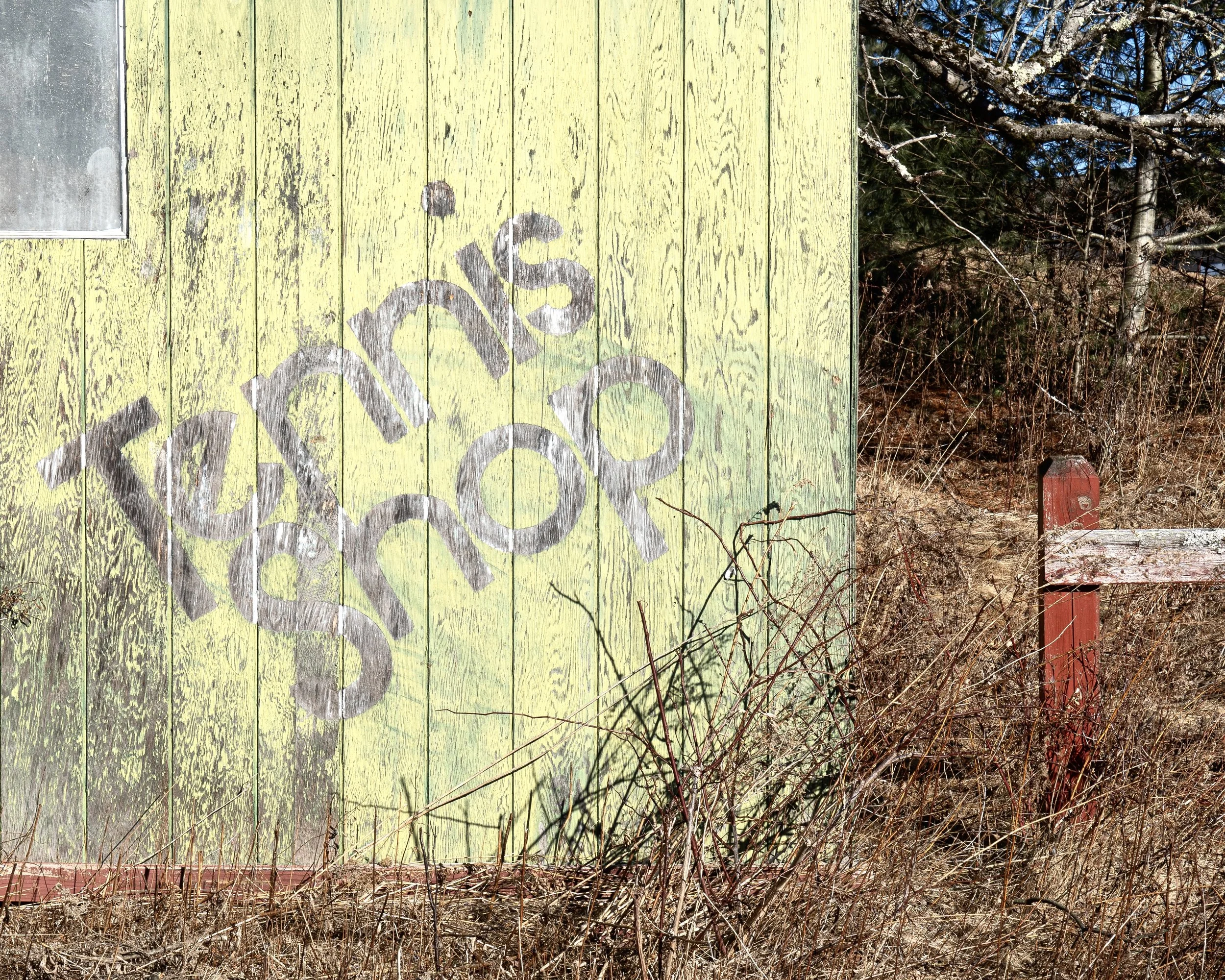 Abandoned Pines Resort, South Fallsburg