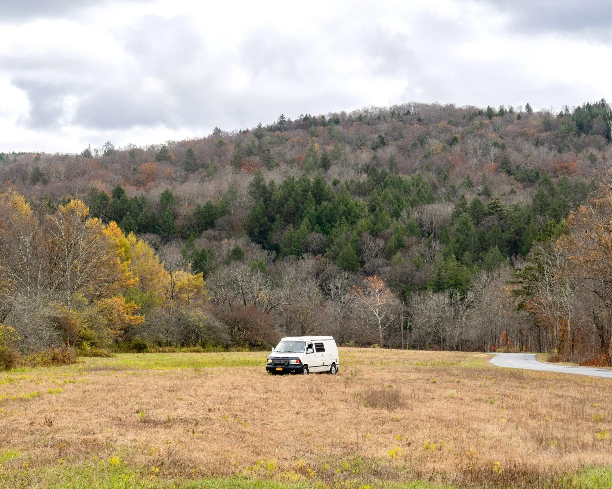 The Van in a Field, Roscoe 