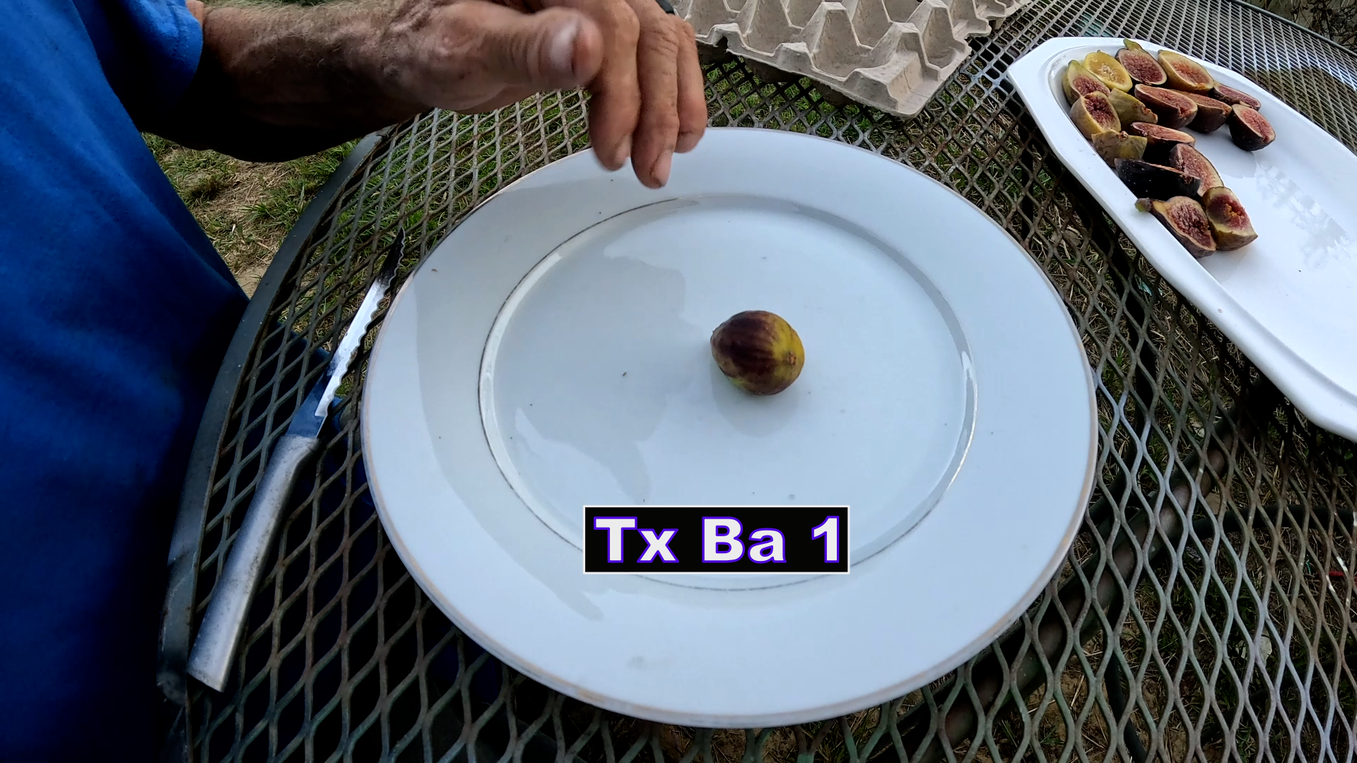 txba1.png