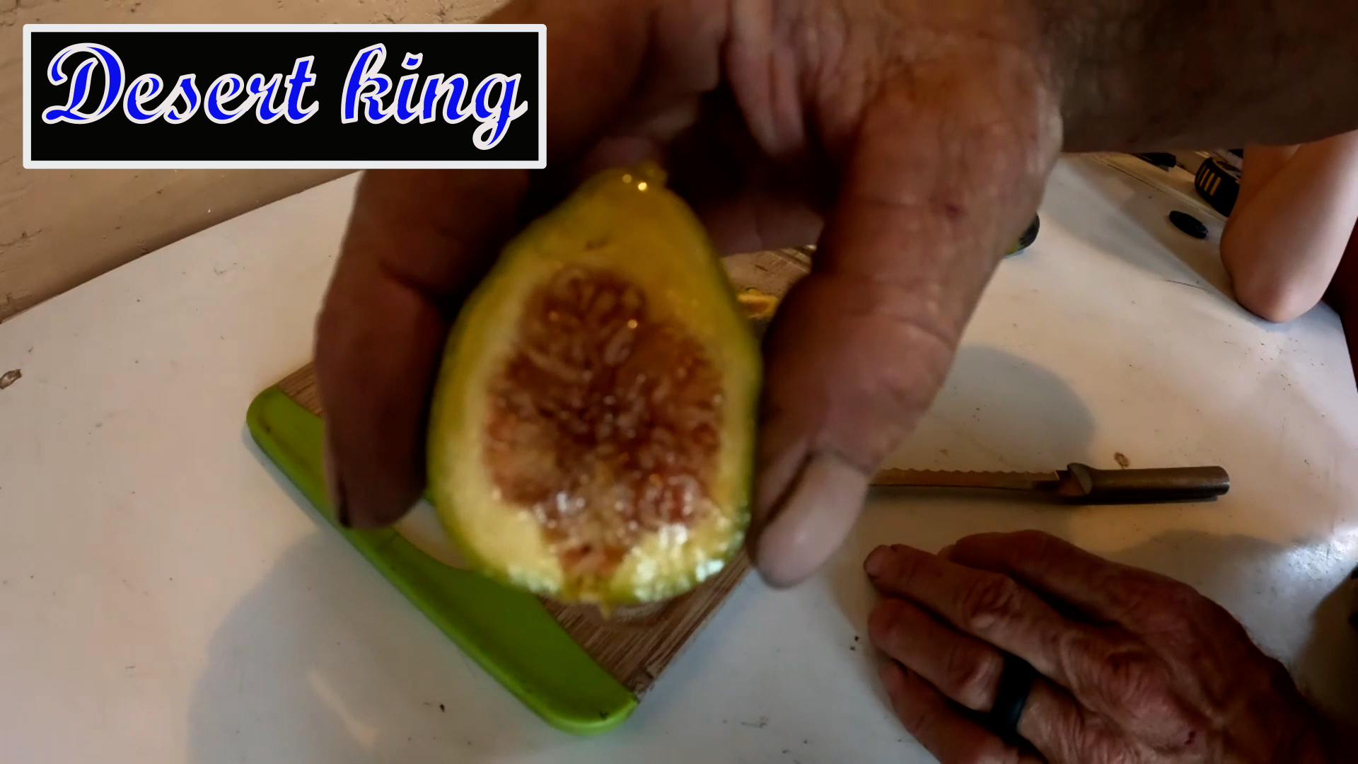 Desert King Fig Tree