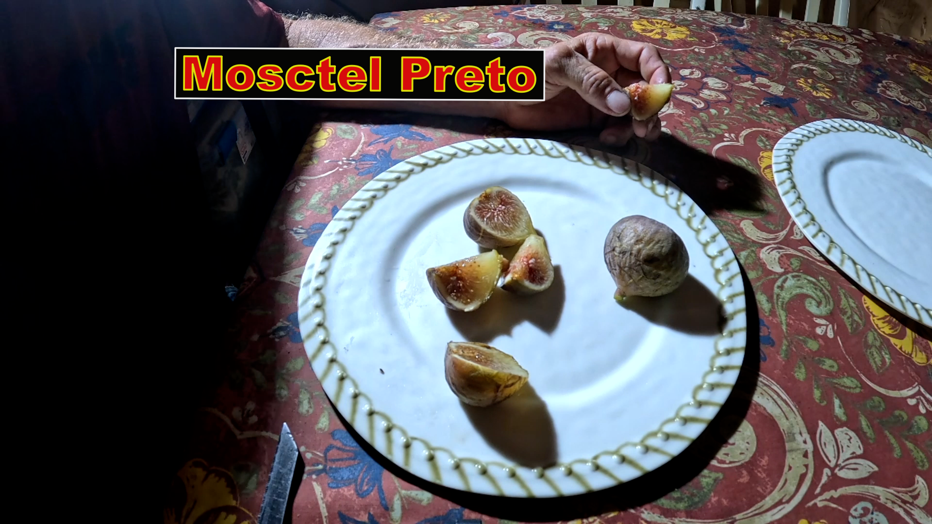 Mosctel Preto Fig Tree