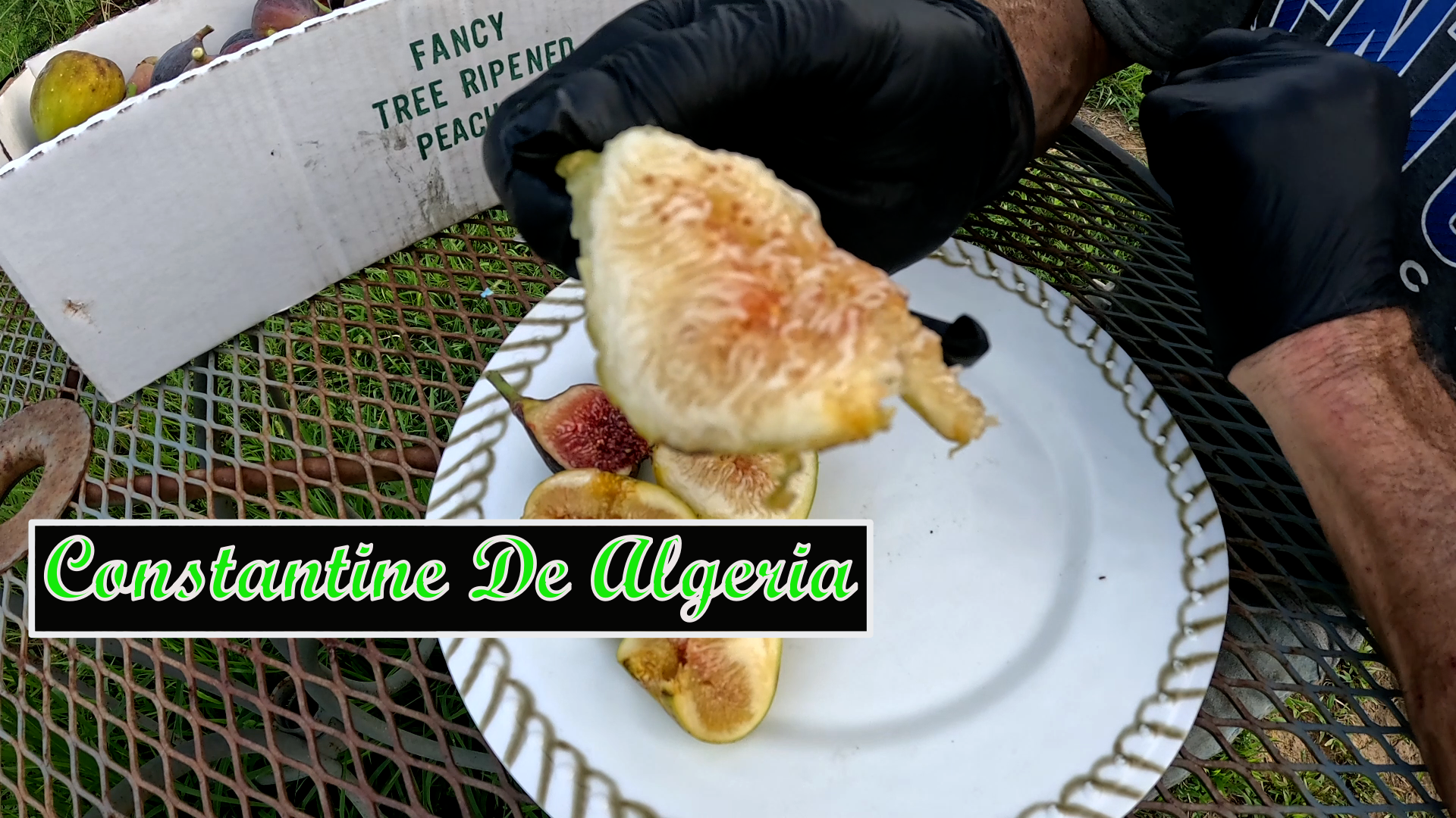 Constantine De Algerie