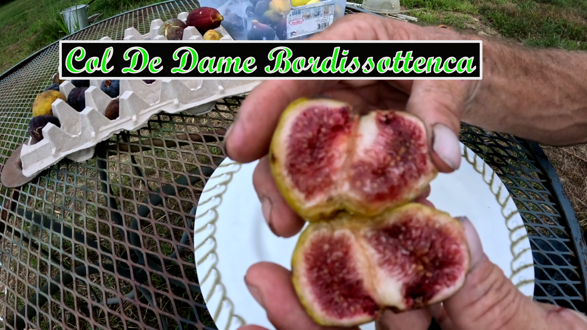 cdd bordasottenca 2.png