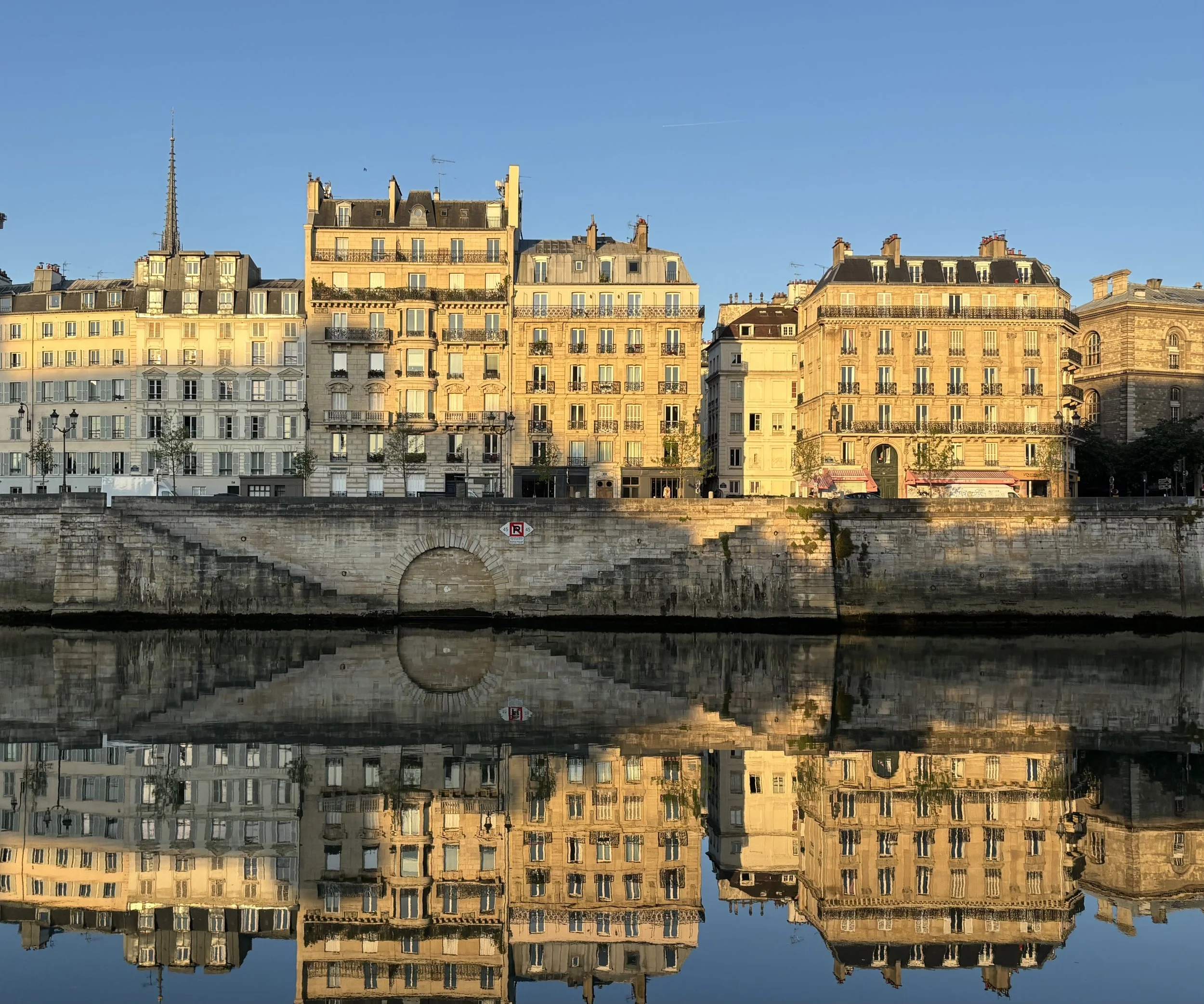 Reflective photo of Seine
