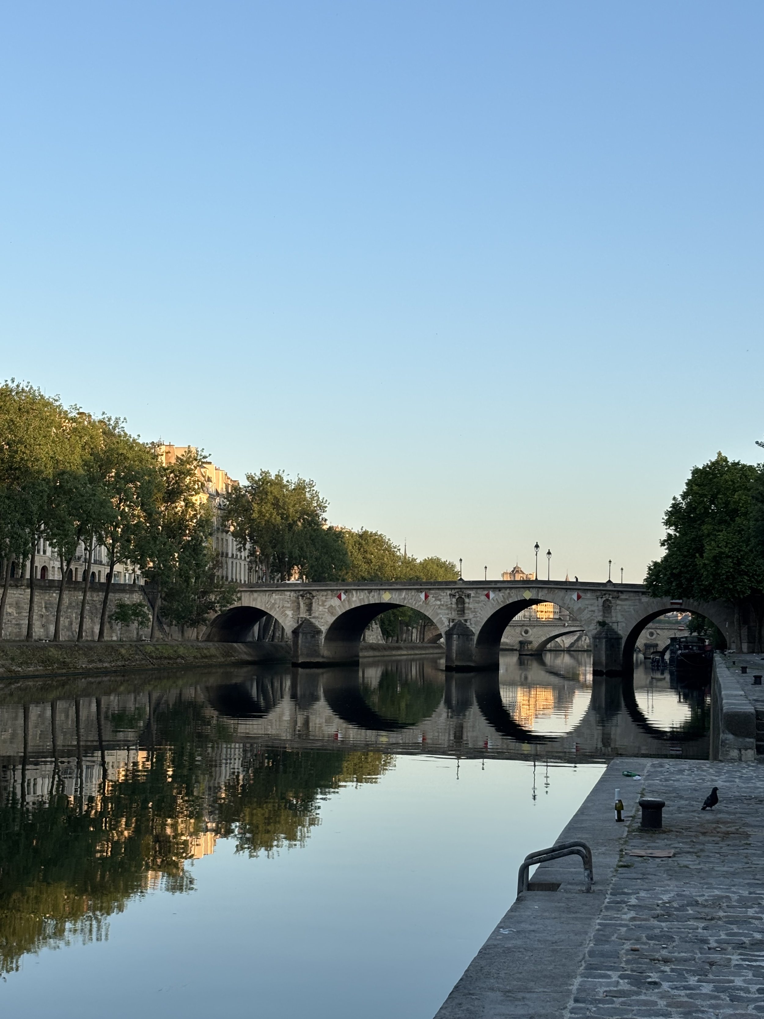 Picture of Paris bridge and reflections