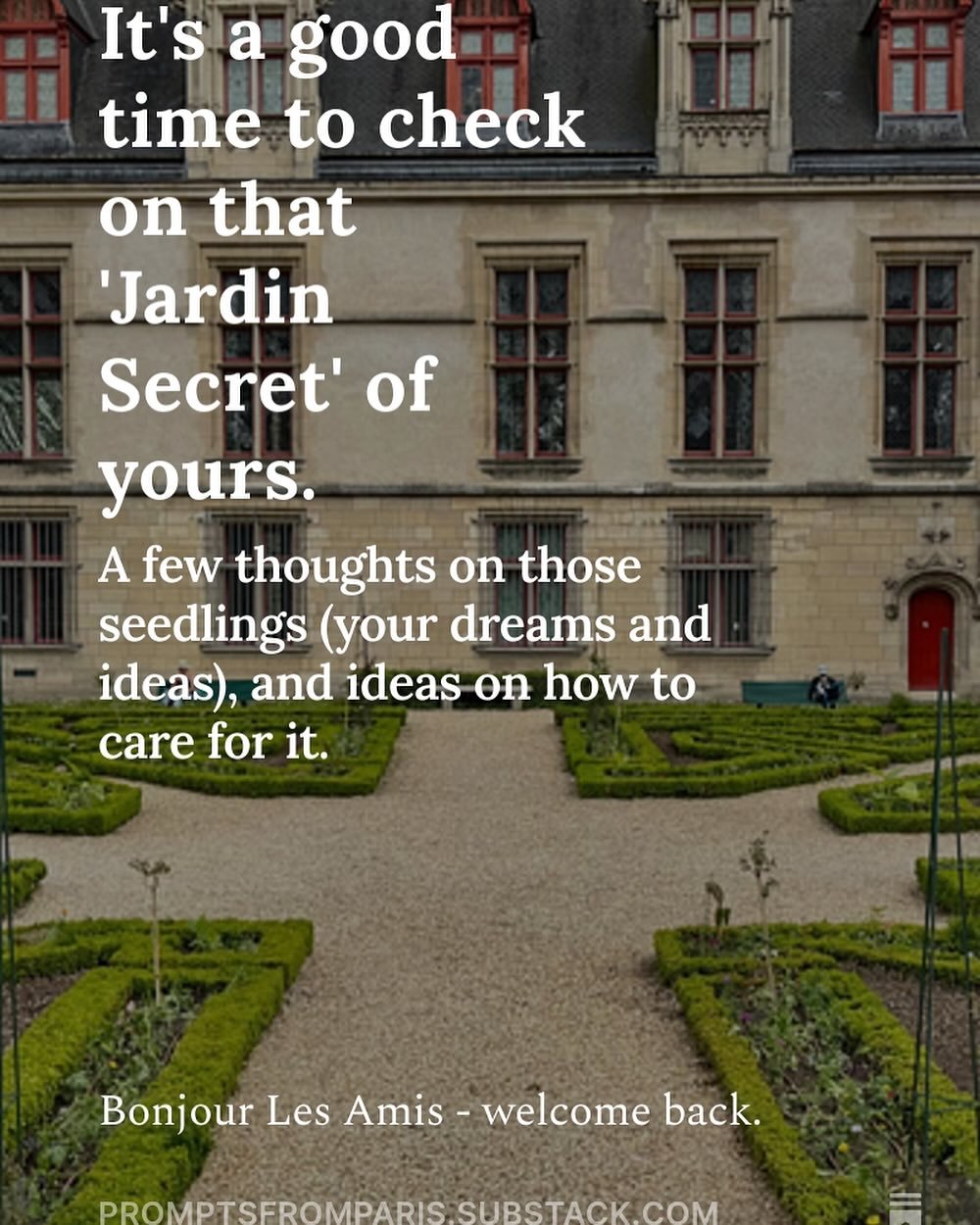 A little Sunday distraction. 
My June 1st Newsletter is out!
Link to the Newsletter in profile!