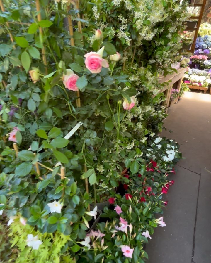 Sometimes you need to give yourself prompts - reminders of how your Jardin Secret can blossom if you care for it. 

What will you use as a reminder? 

For me, I&rsquo;m adding a walk through the March&eacute; aux Fleurs into my routine. If you haven&