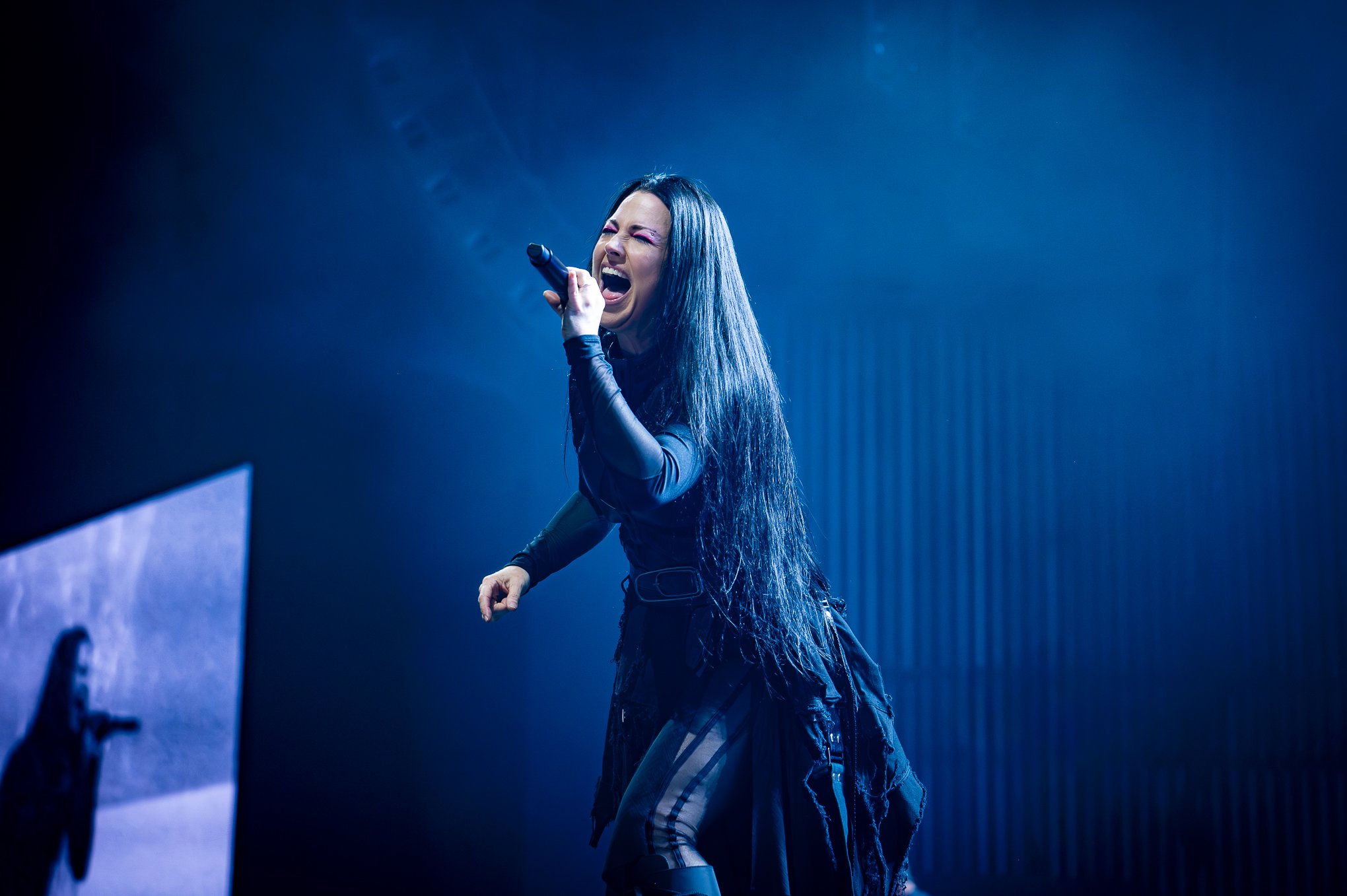 Evanescence