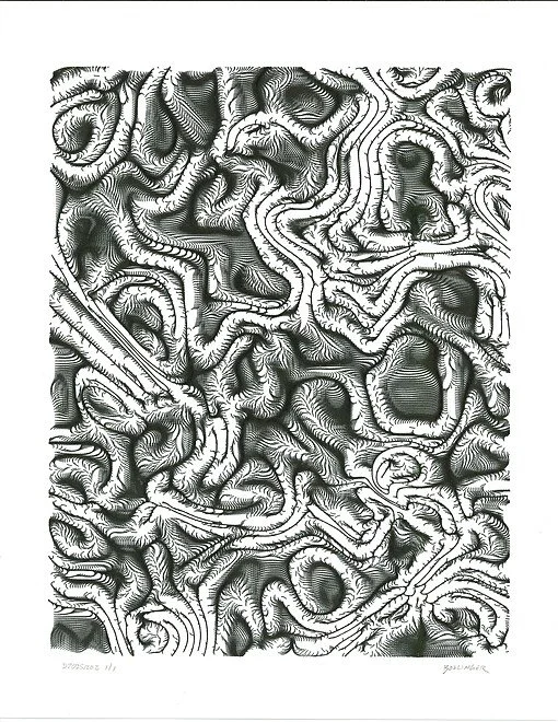 D20251202