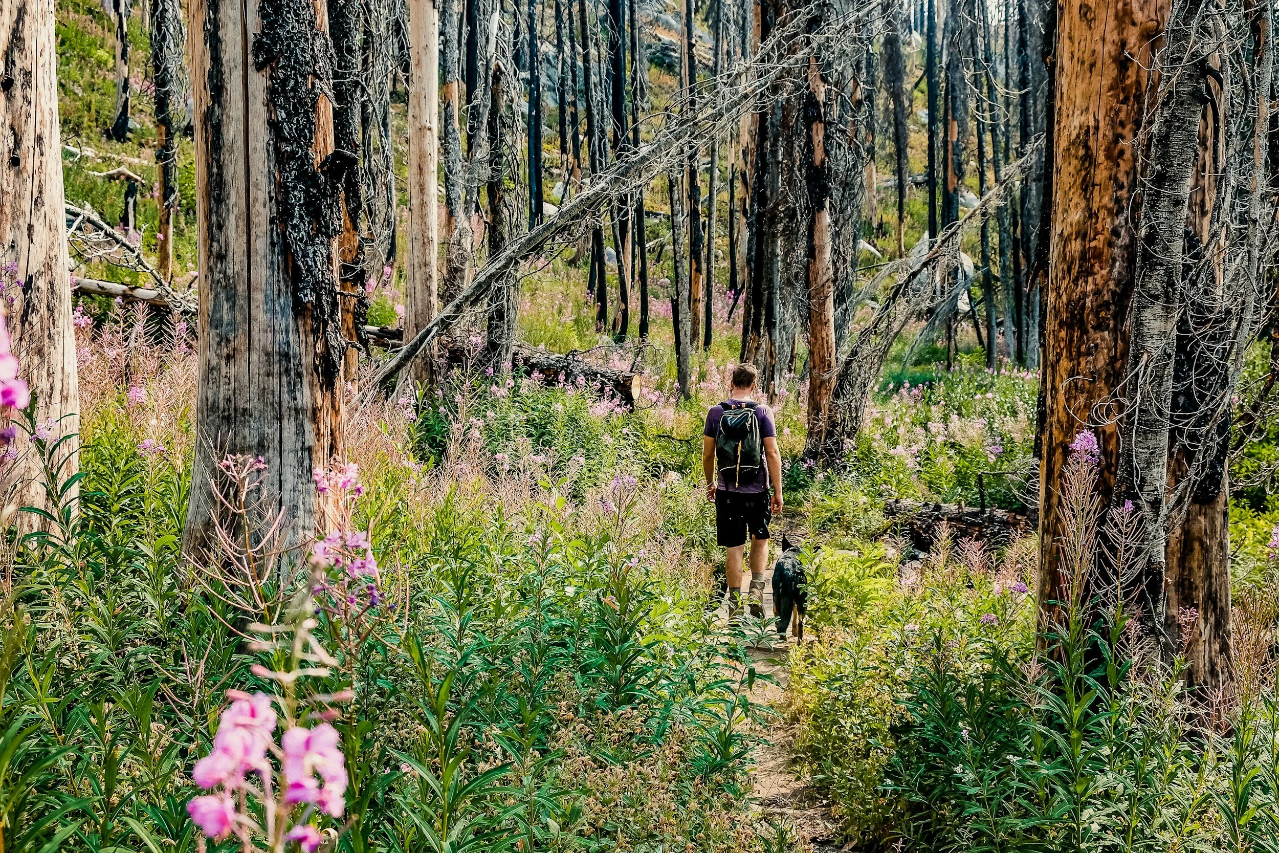 Best Day Trips from Boise