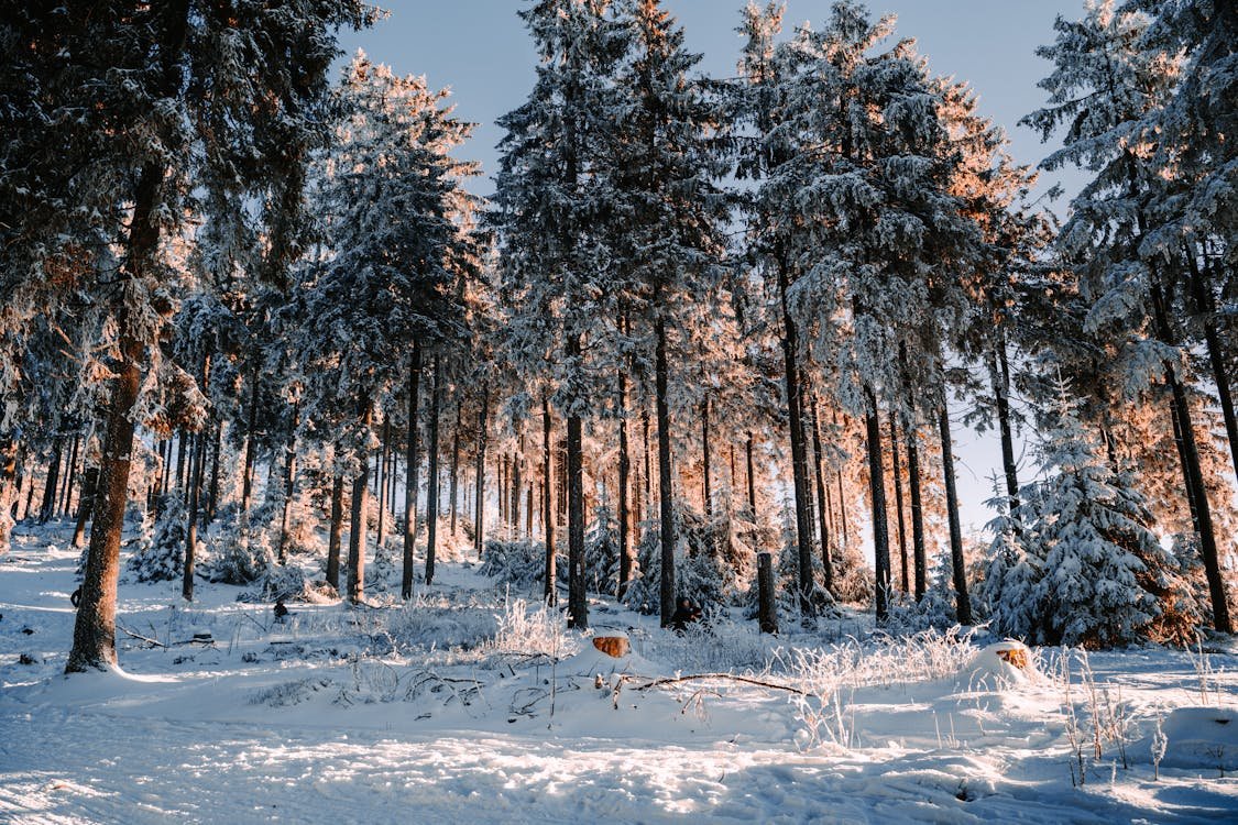 Tips for Selling Your Home in Winter Successfully
