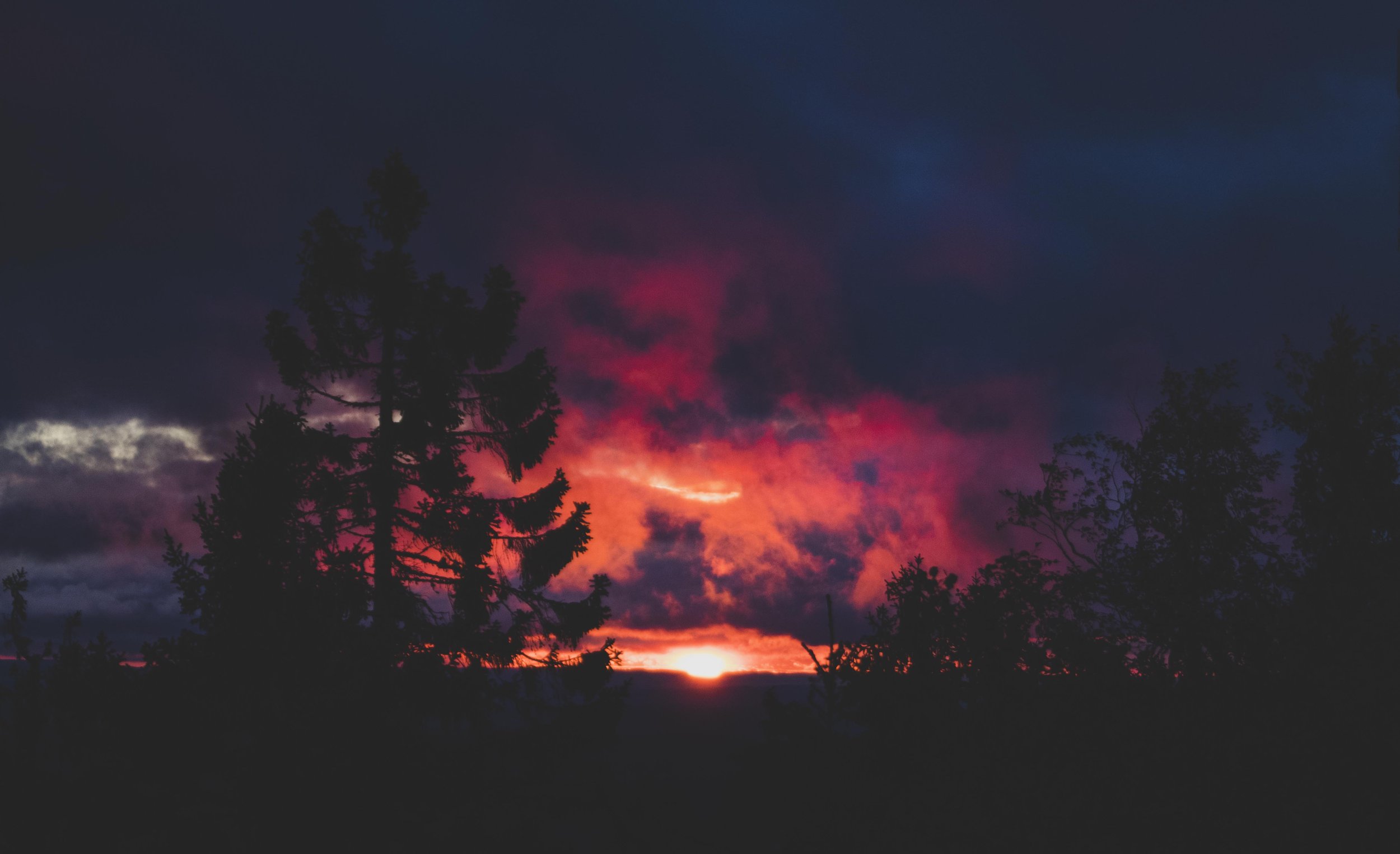 Koli