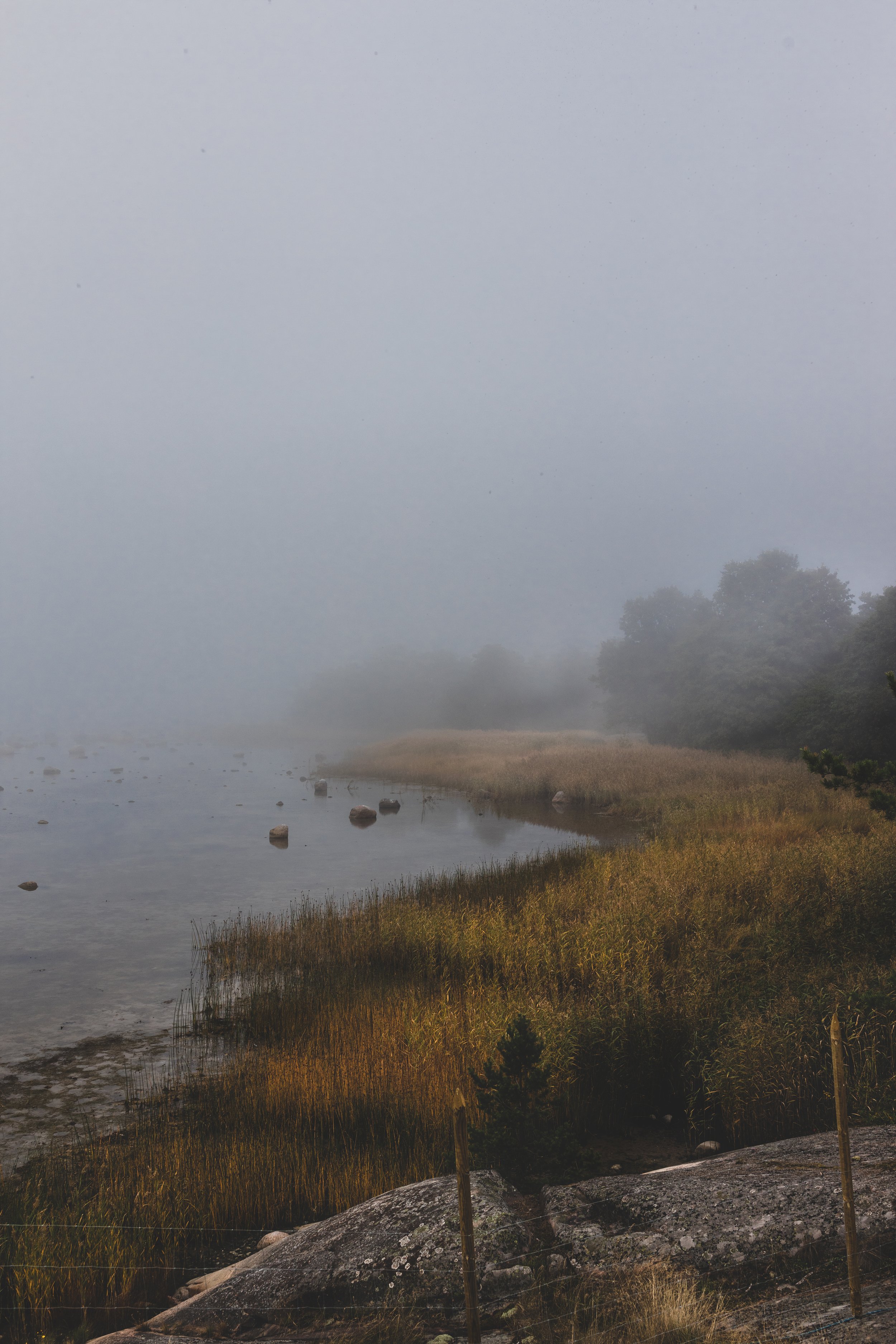 "In the Fog" Fine Art Print A3+