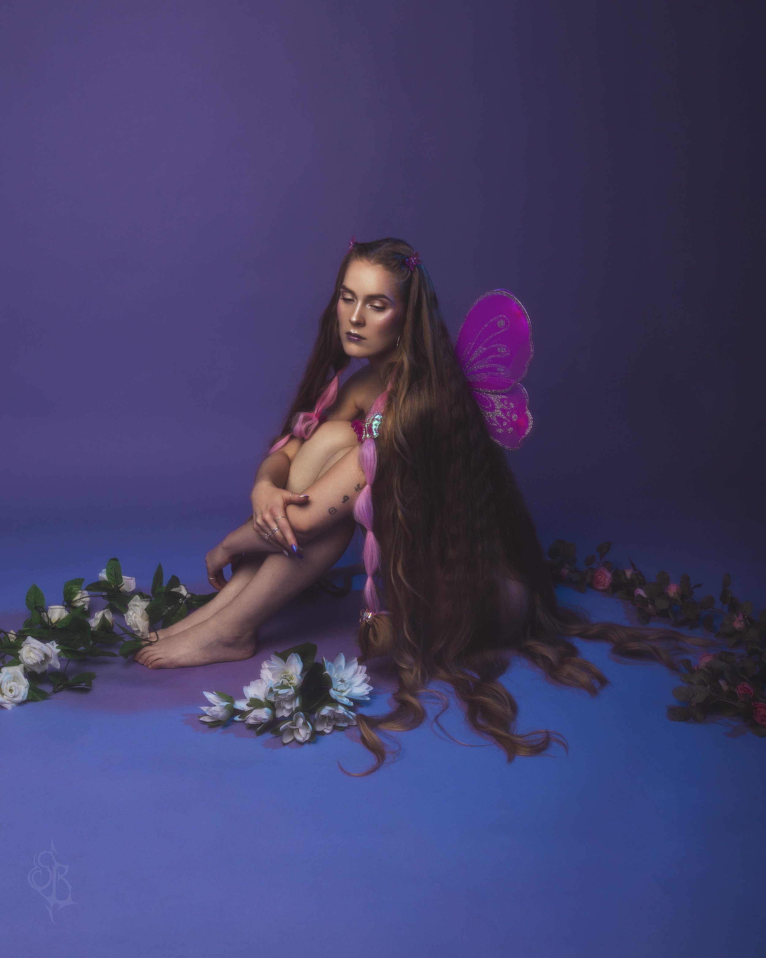 Fairy of Dream