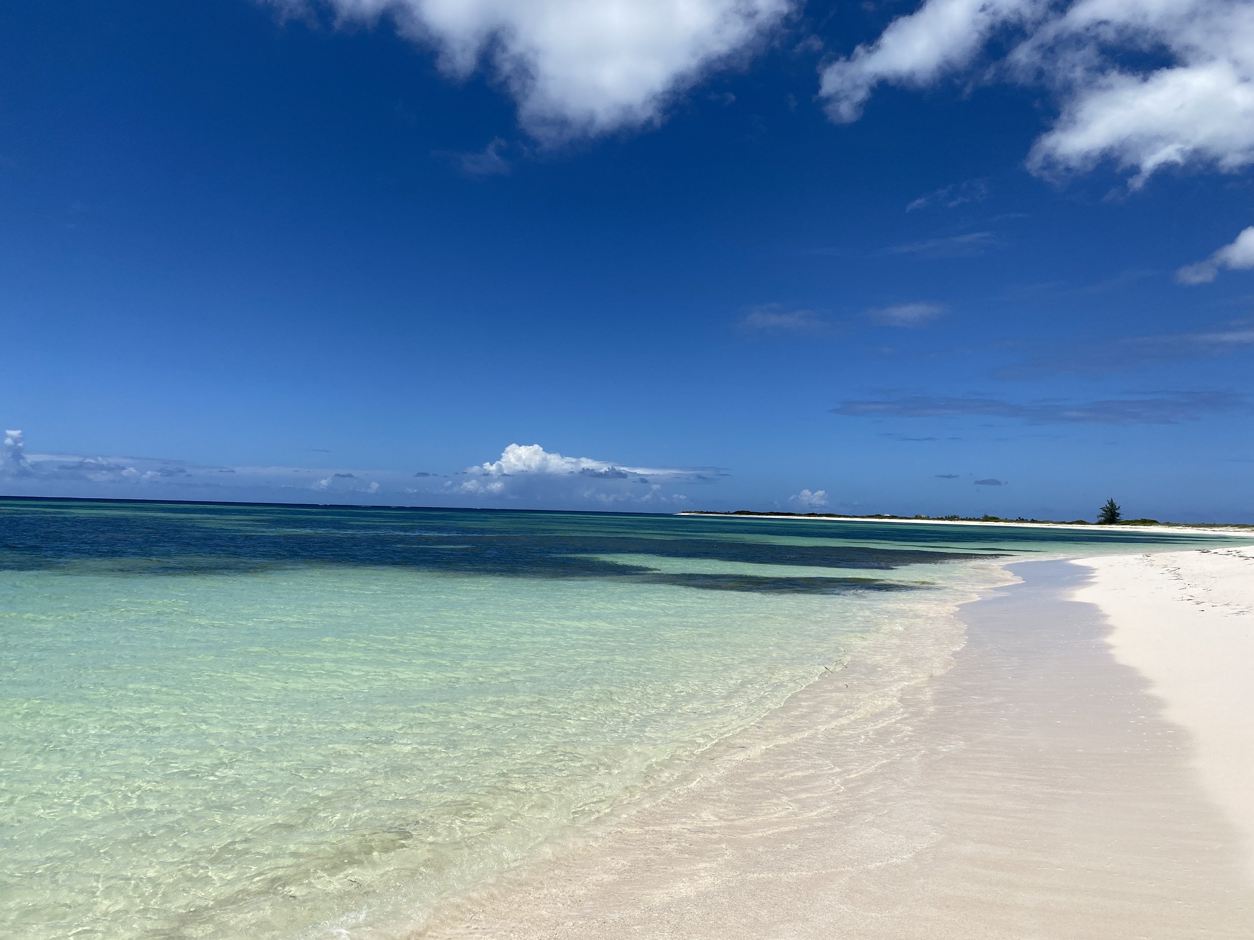 Bliss Property Management