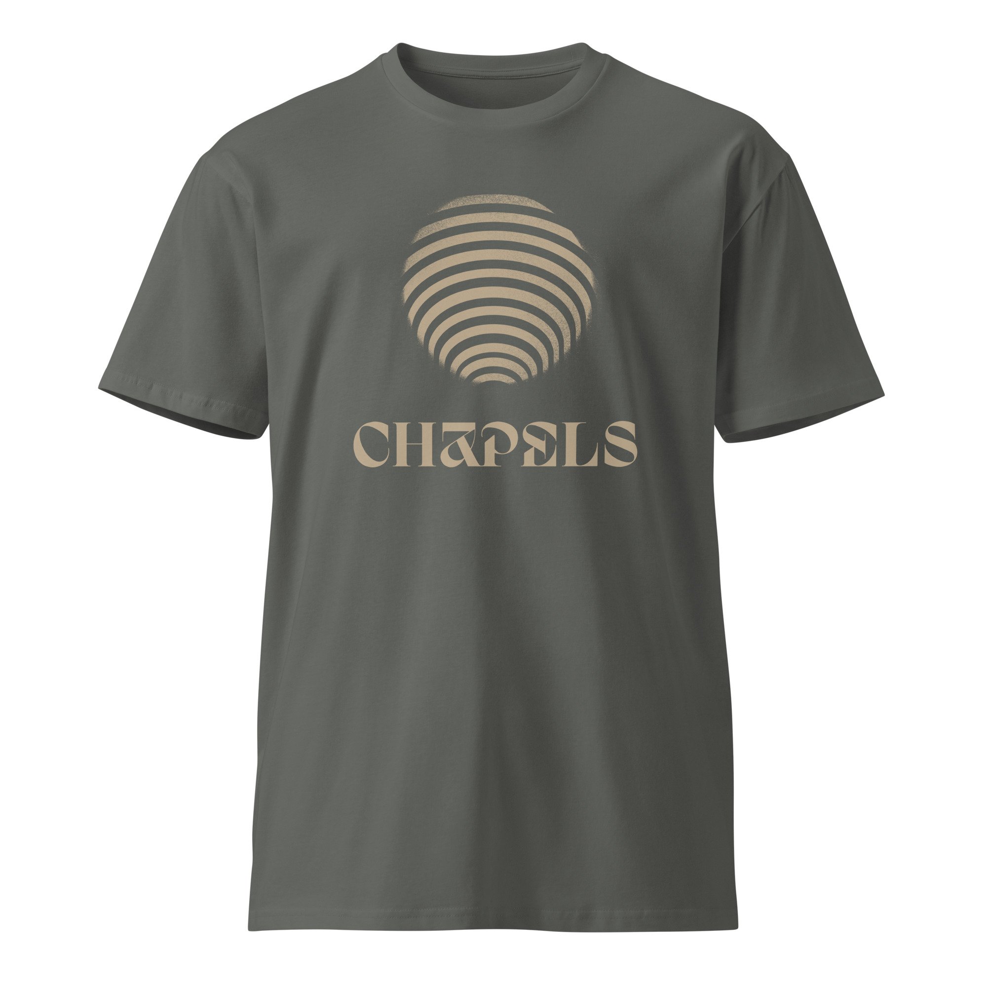 unisex-premium-t-shirt-charcoal-front-662a3d5c20c07.jpg
