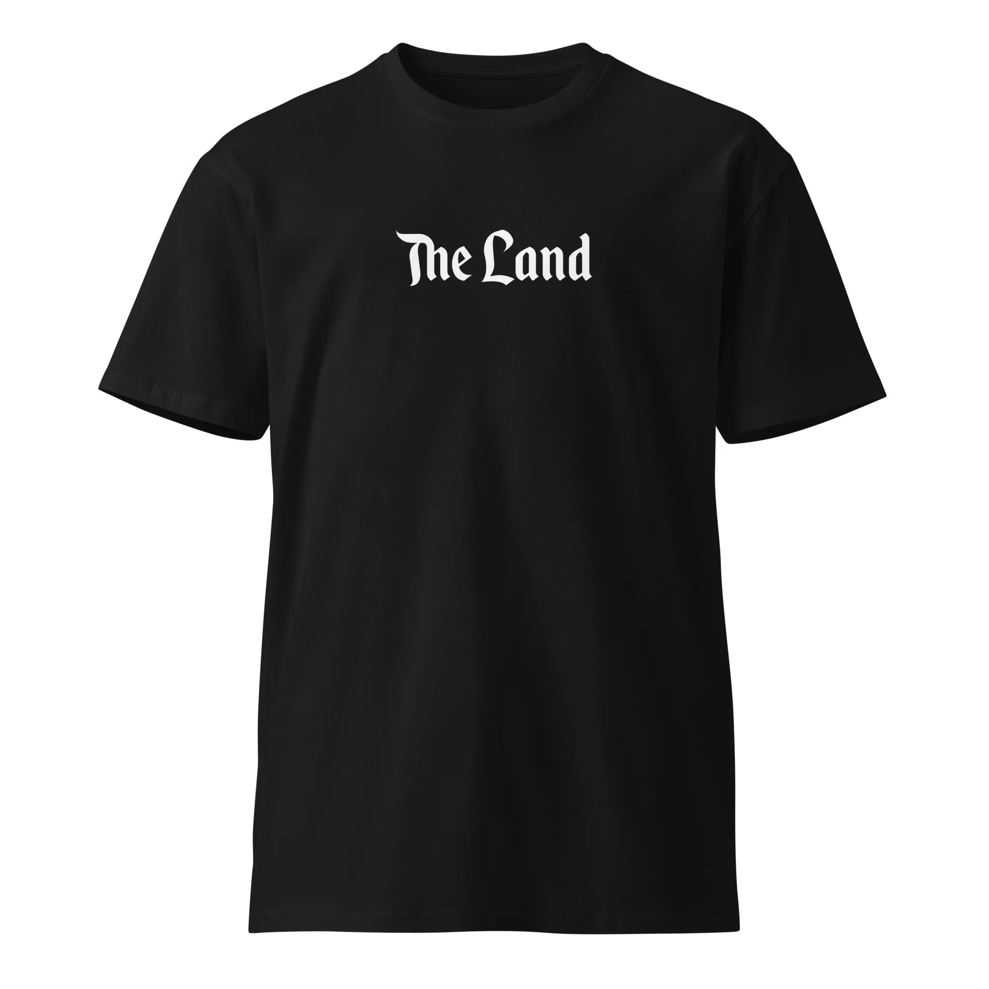 unisex-premium-t-shirt-black-front-662bb8c08b763.jpg